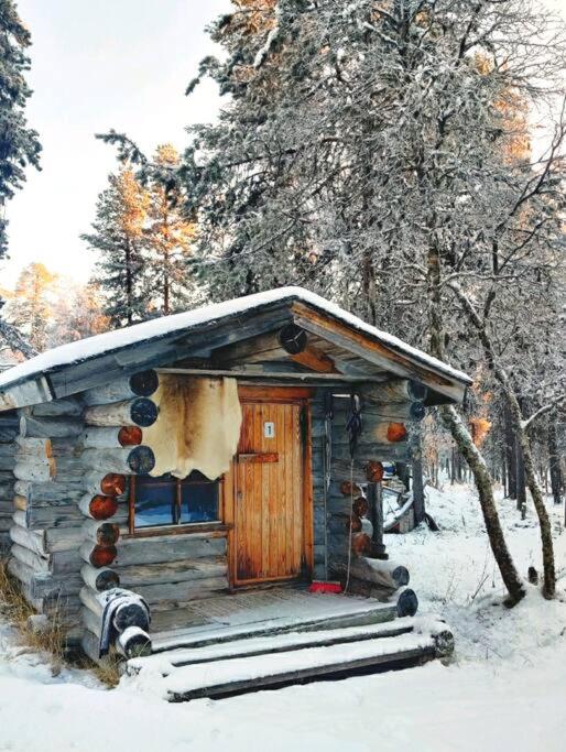 Aurora Cabin