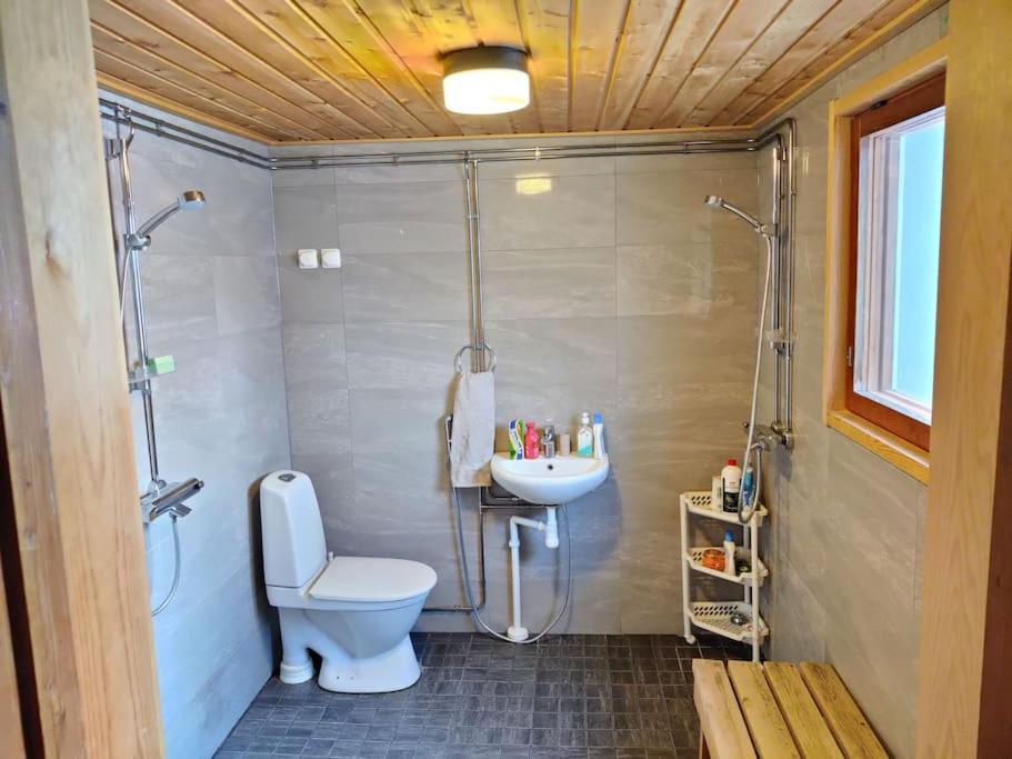 Aurora Cabin