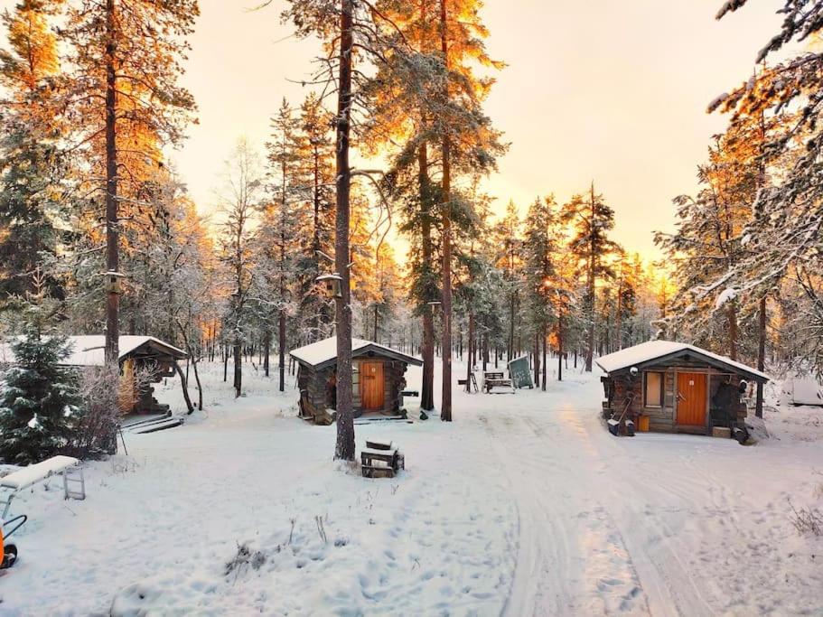 Aurora Cabin