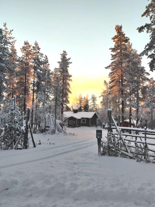 Aurora Cabin