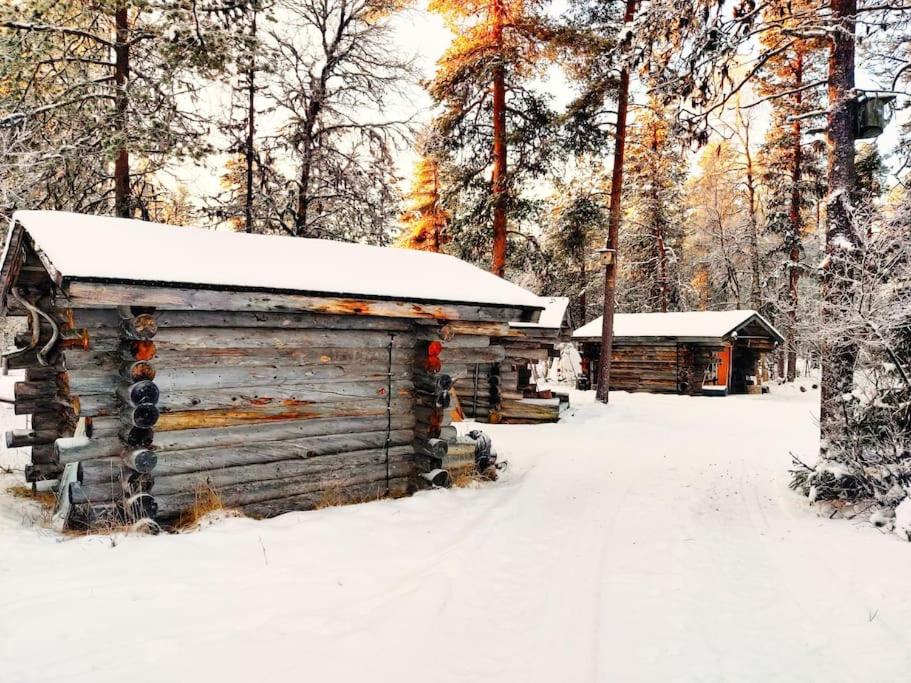 Aurora Cabin