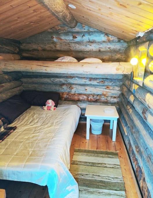 Aurora Cabin