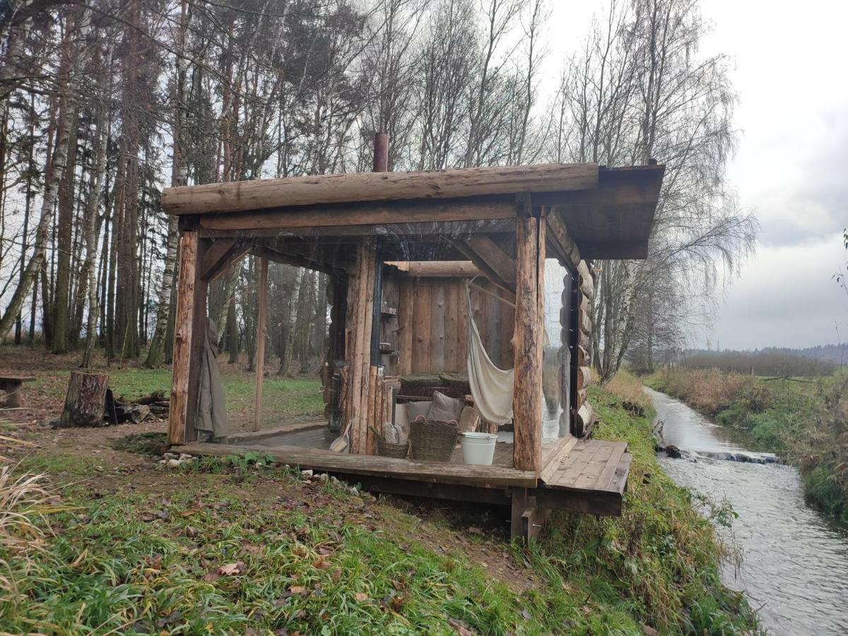 NA VĚTVI view 5