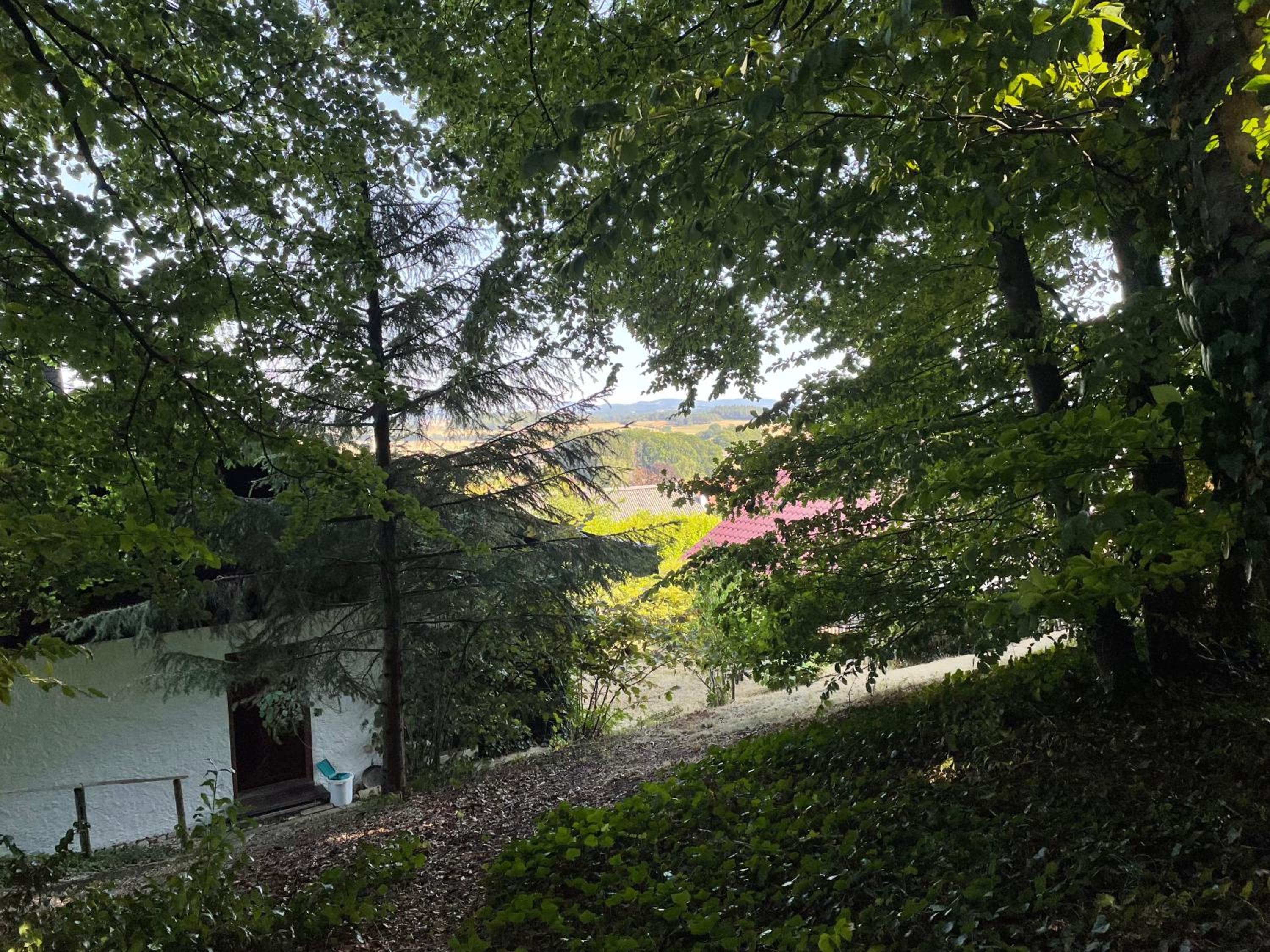 Ferienhaus Eifelblick