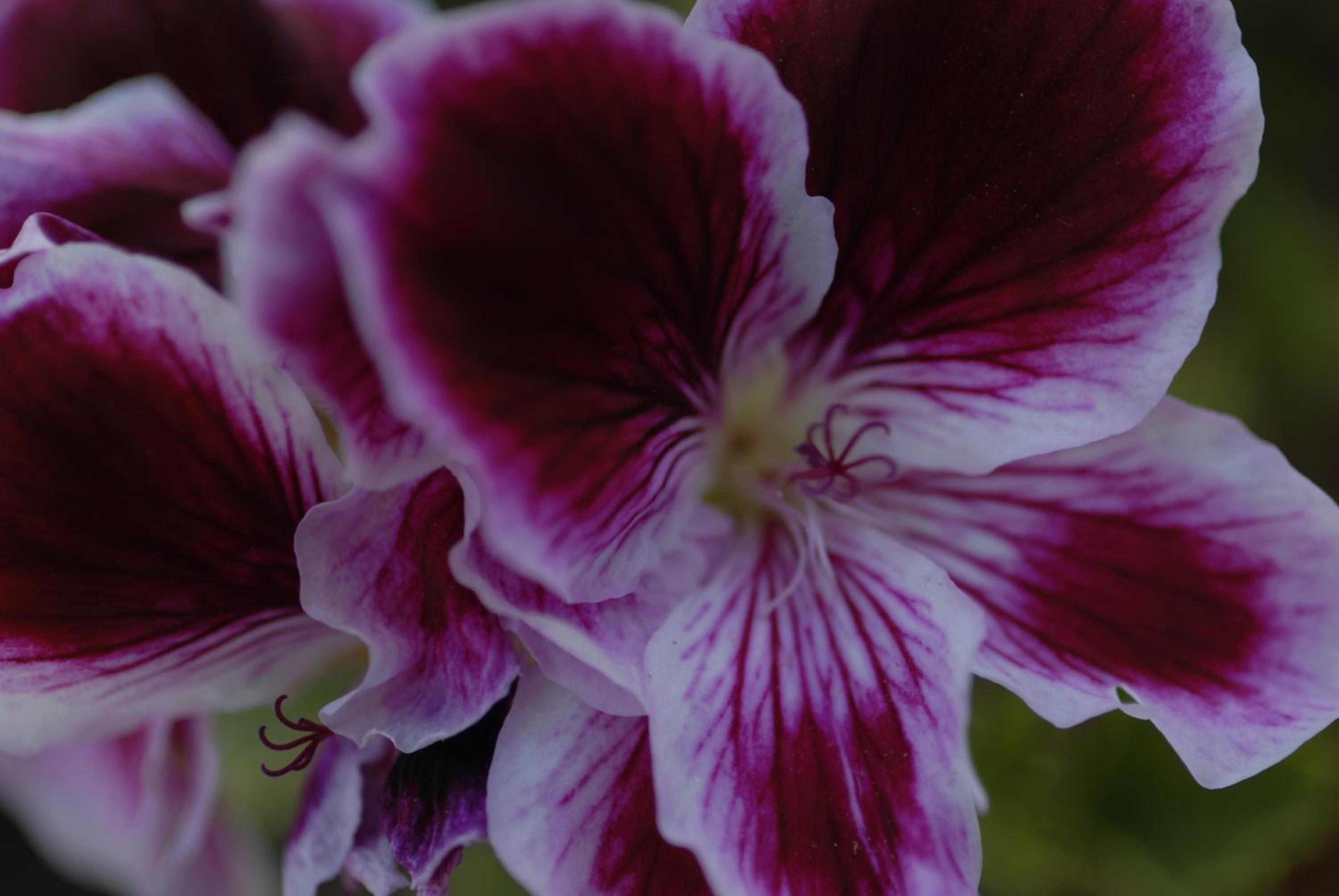 Margarita Studios photo 5