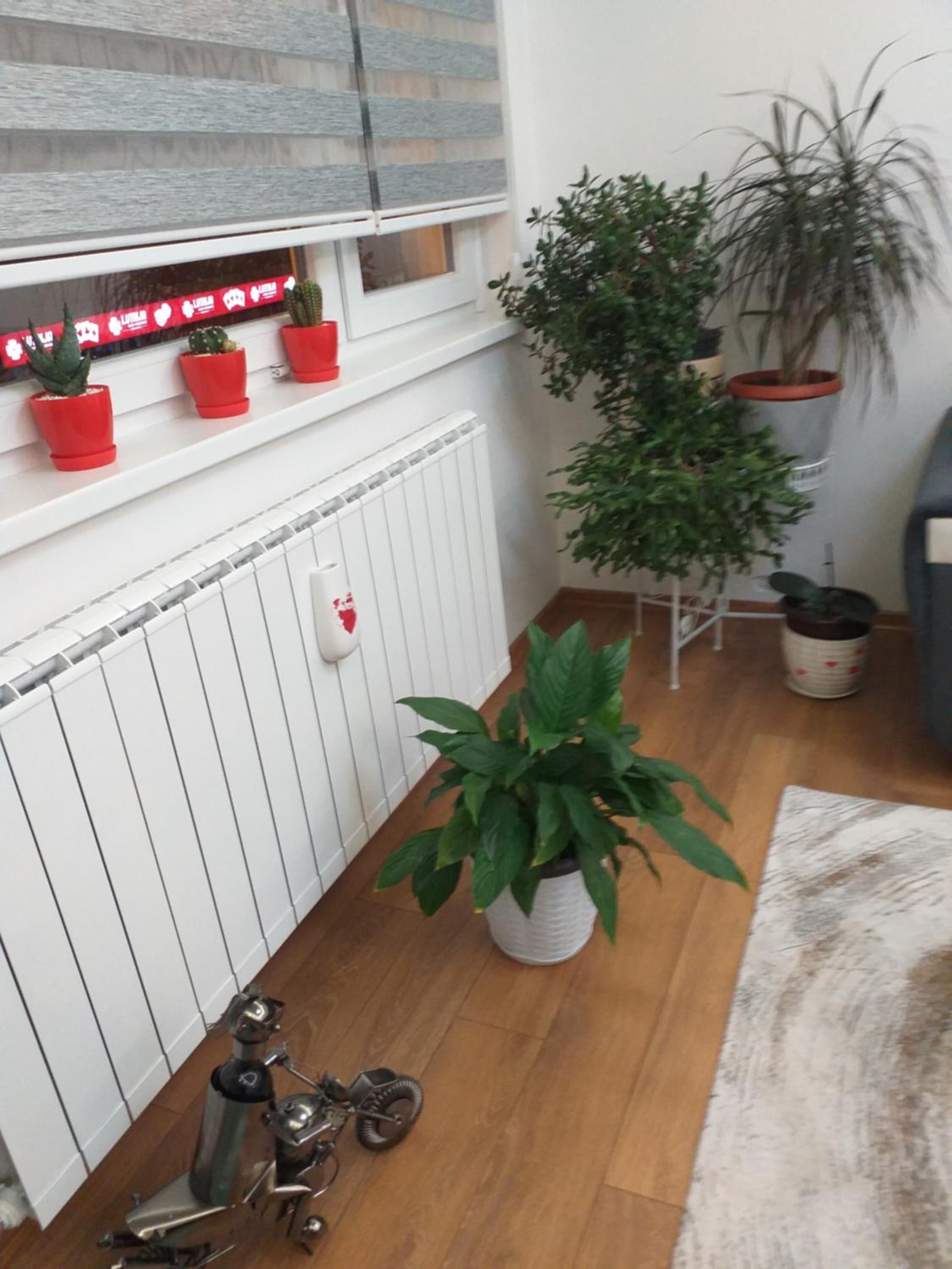 Trosoban apartman Sarajevo, Ilidza centar