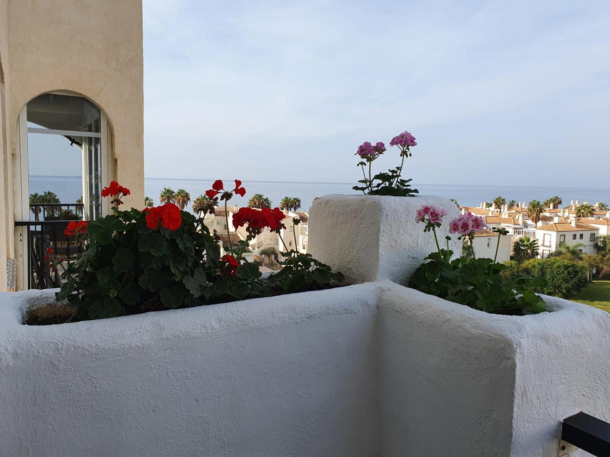 Casa Alegria - Laguna Beach view 4