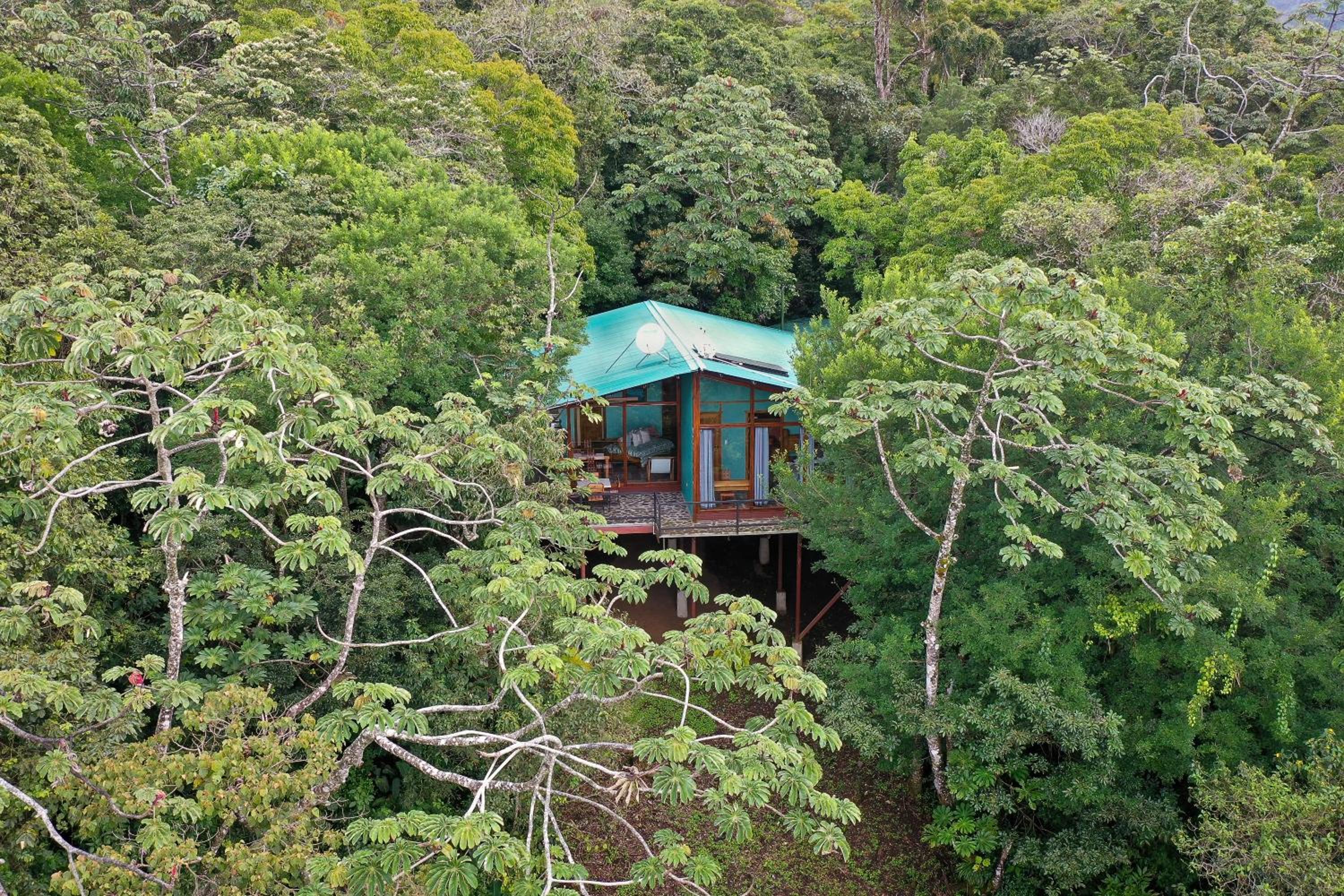 Above the Gulf, Vacation House