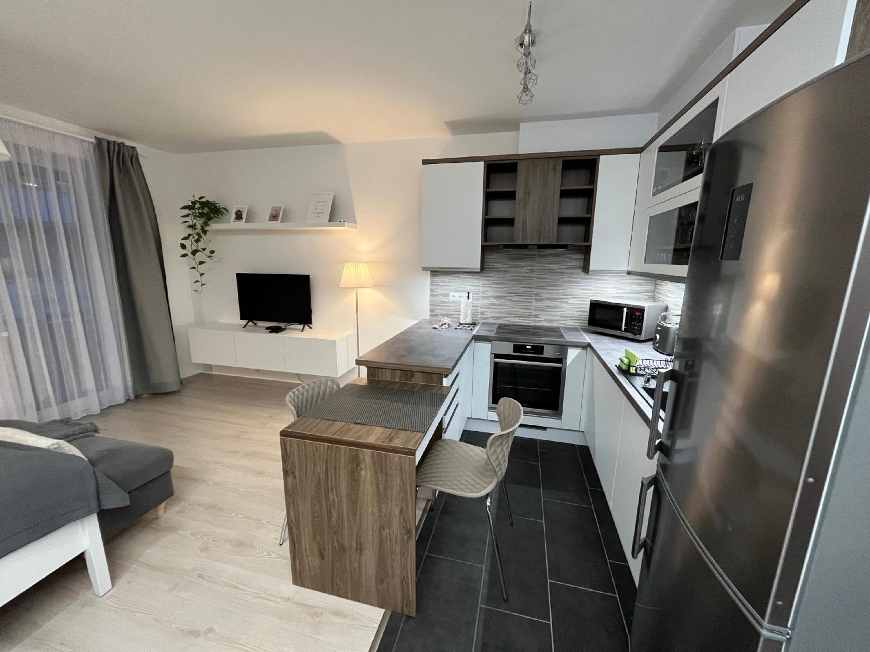 ViLeo50 Apartment view 3