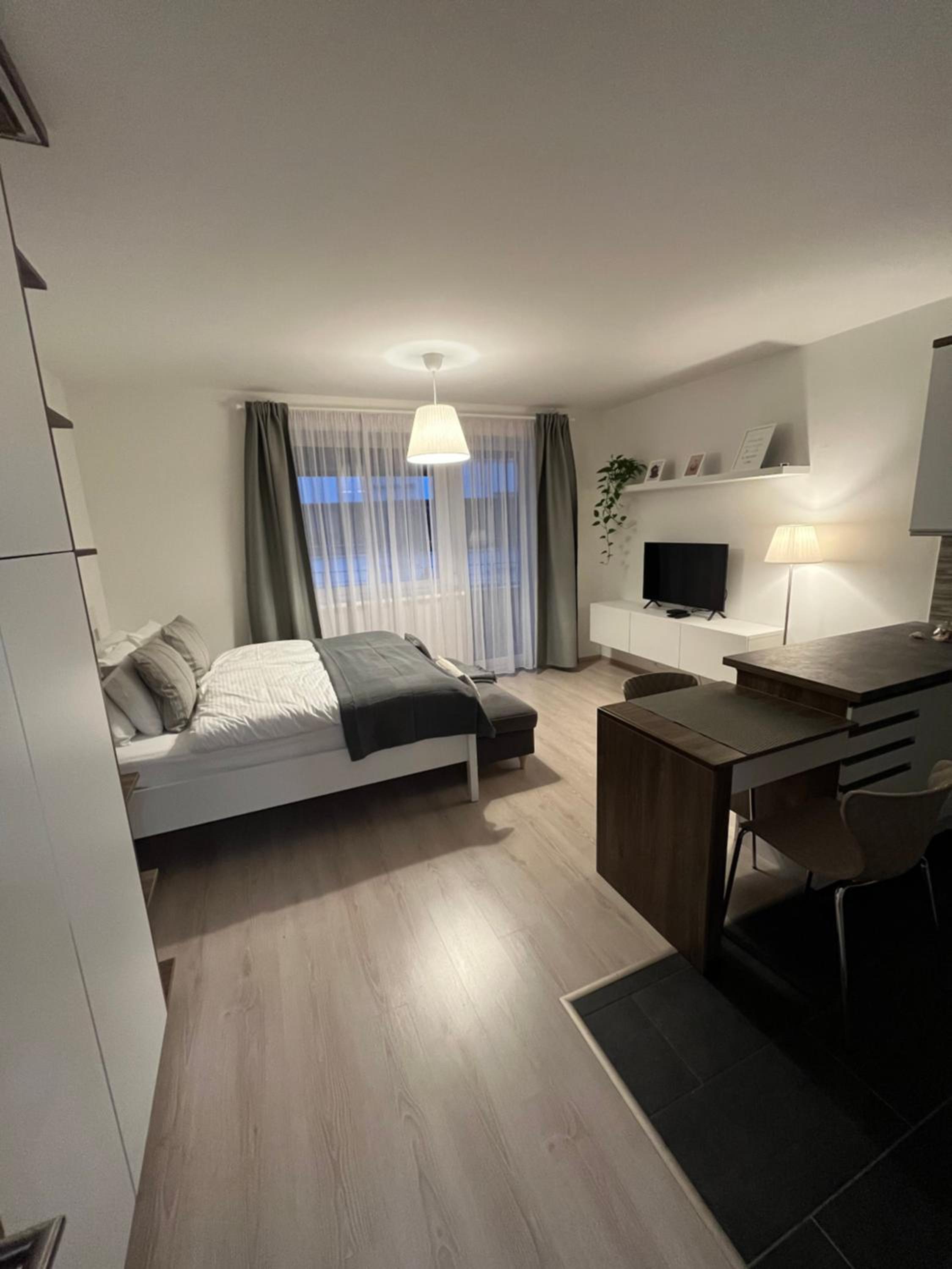 ViLeo50 Apartment view 2