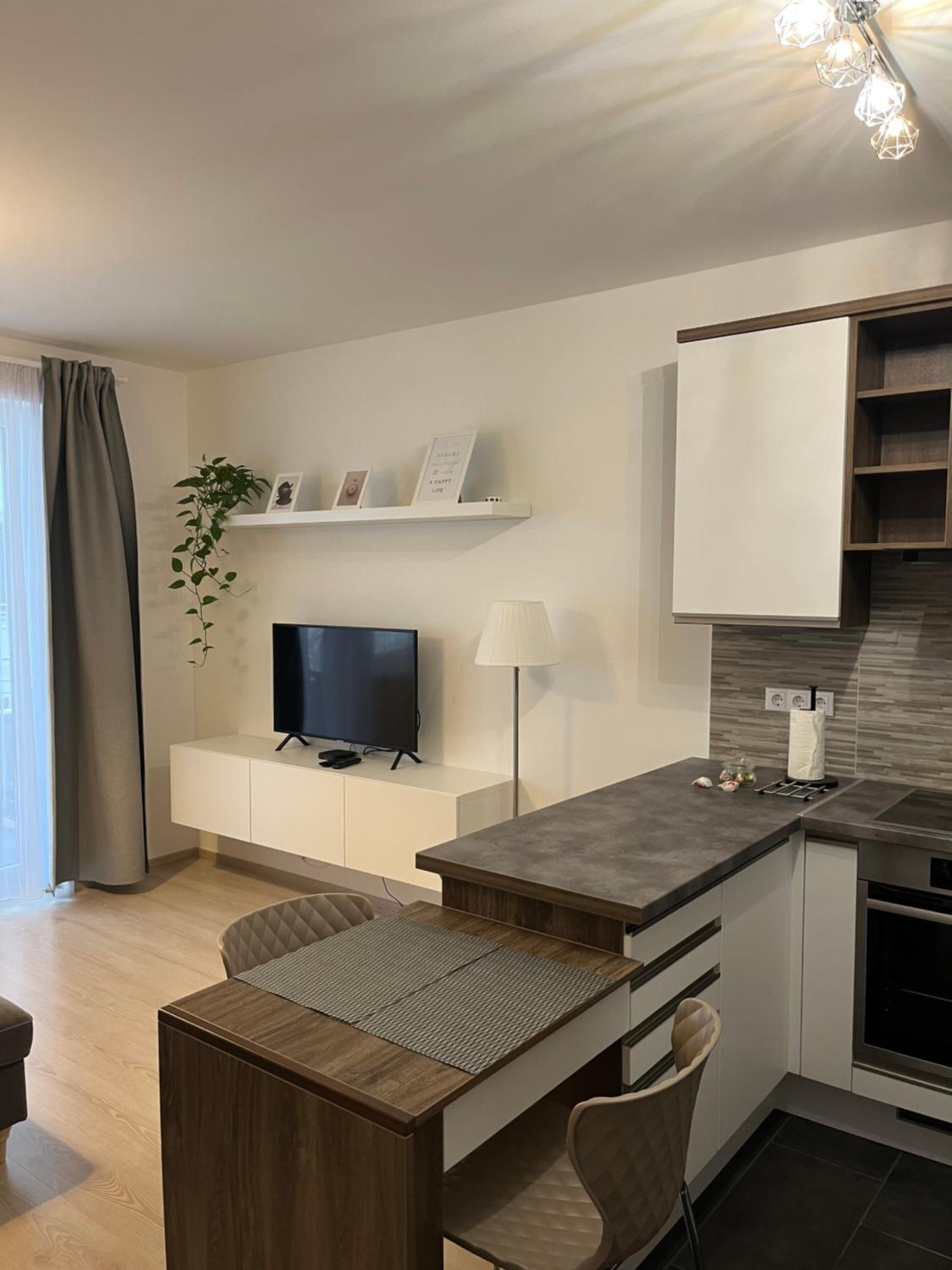 ViLeo50 Apartment view 4