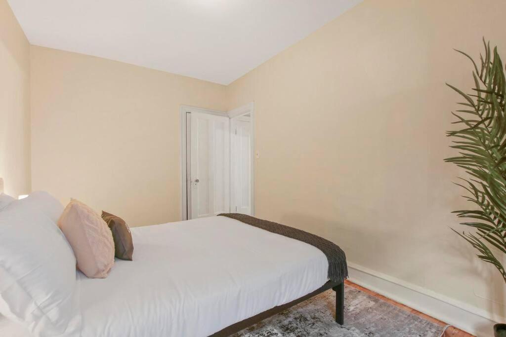 Cozy 1BR Apartment in Rogers Park - Touhy 2W