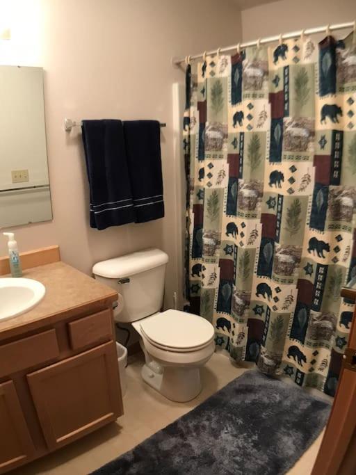 Cozy 2 BR Mountain View - walk to resort