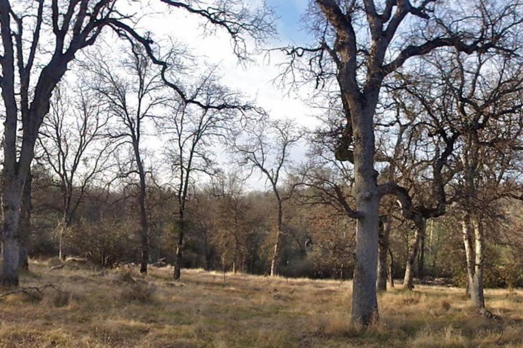 Foothill Acres