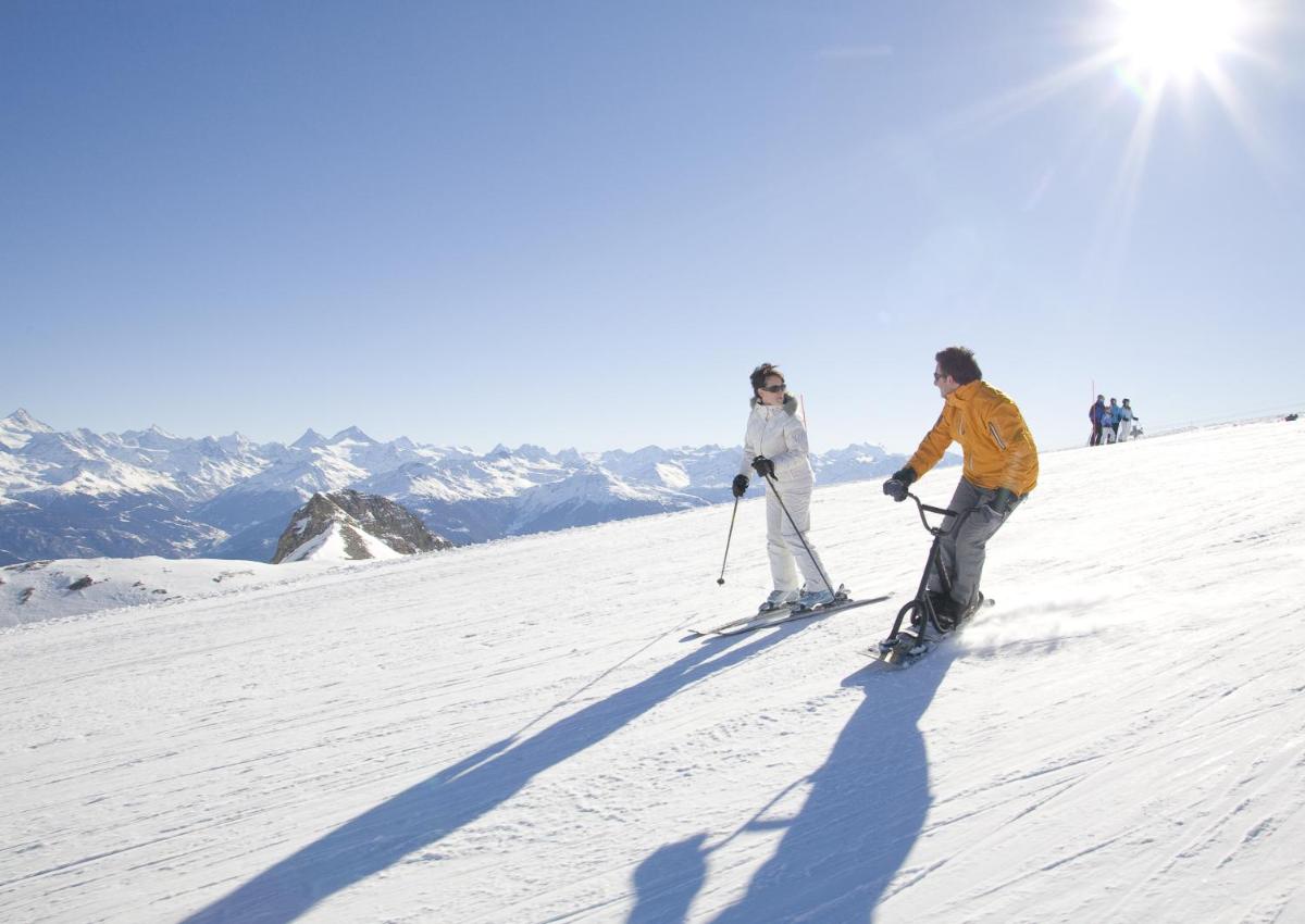 Chalet des Alpes
