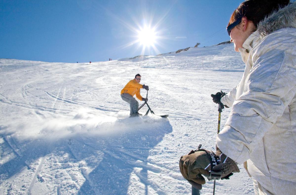 Chalet des Alpes