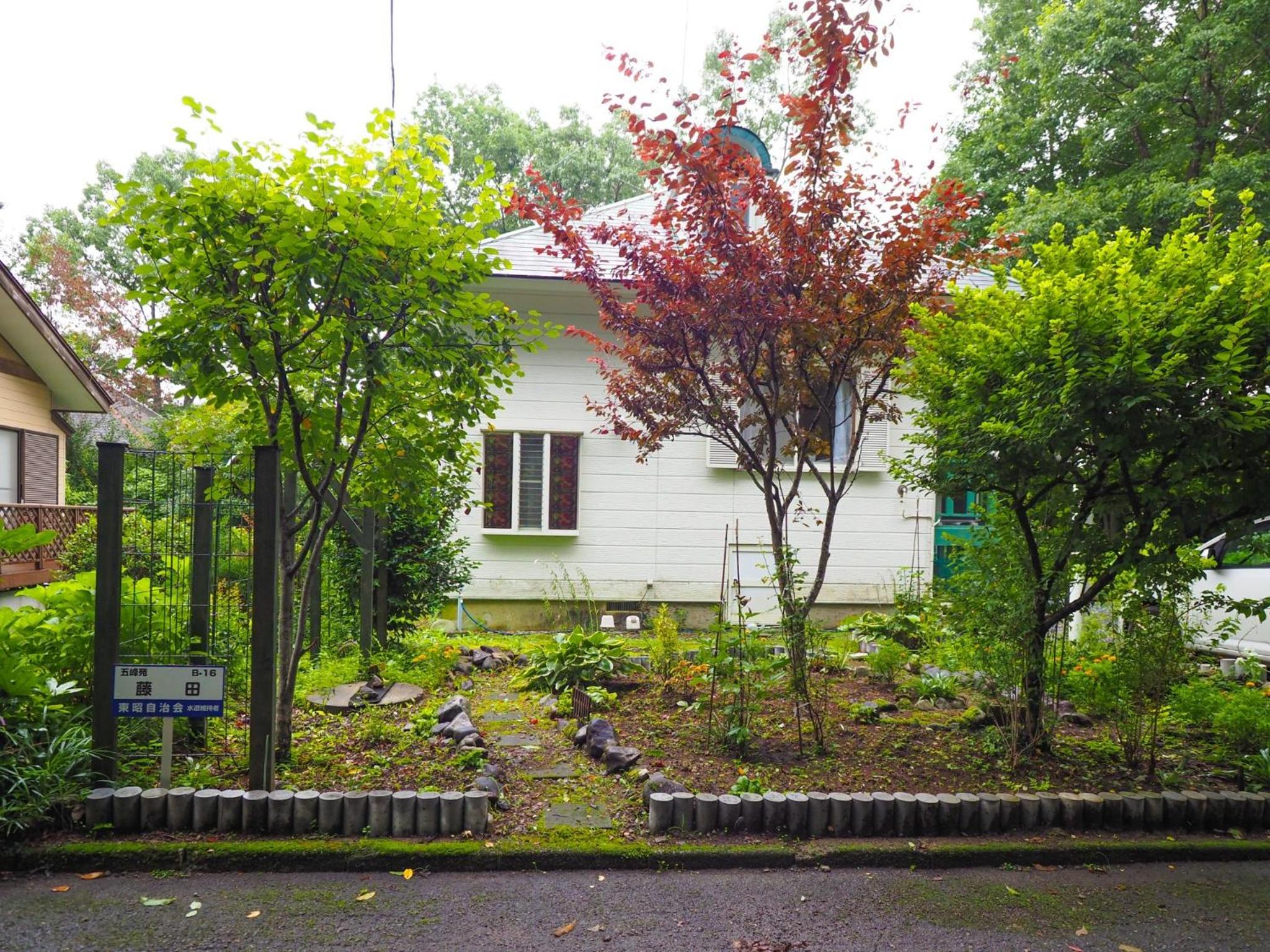 Photo 9