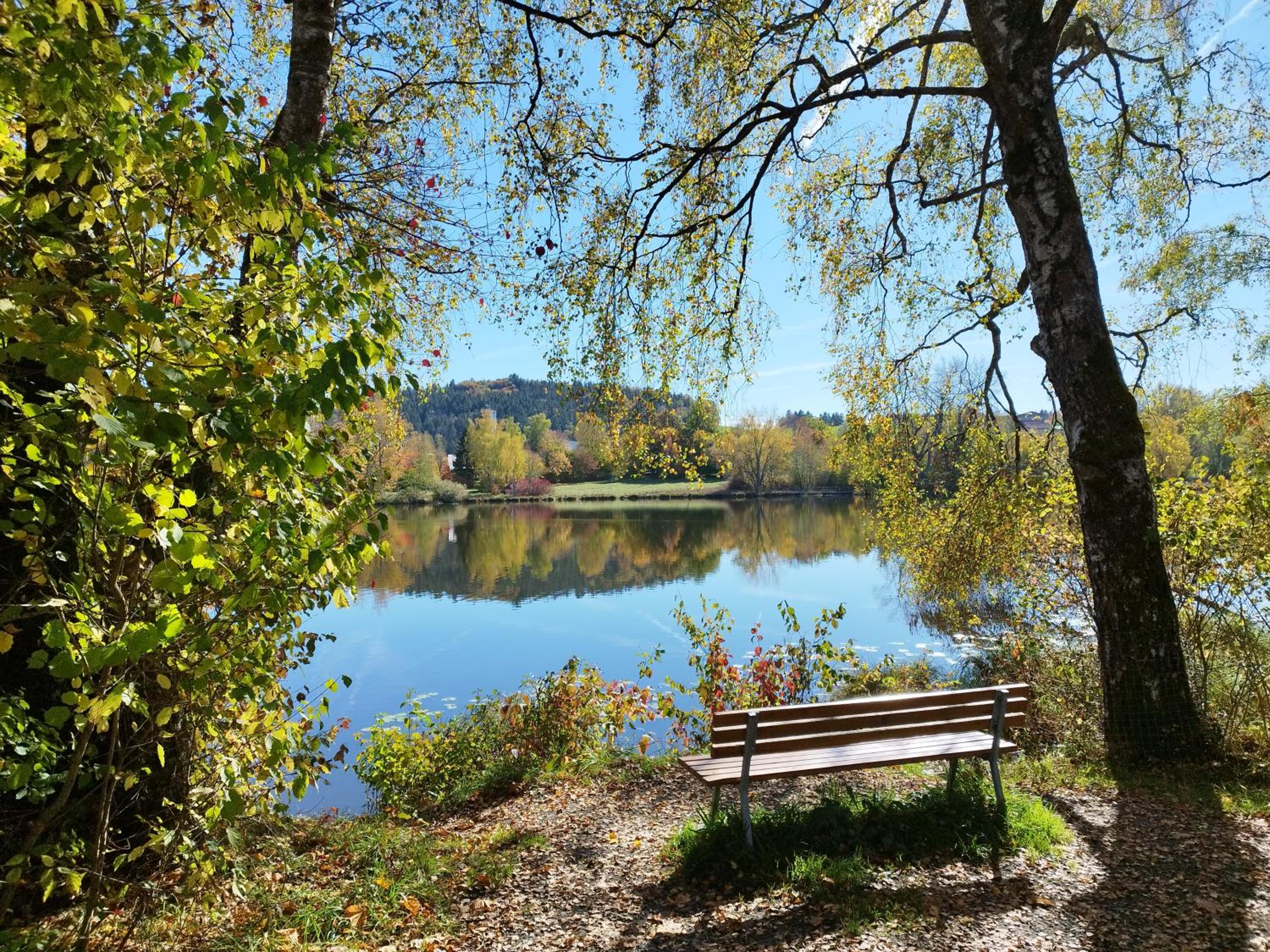 Ferienwohnung im Allgäu