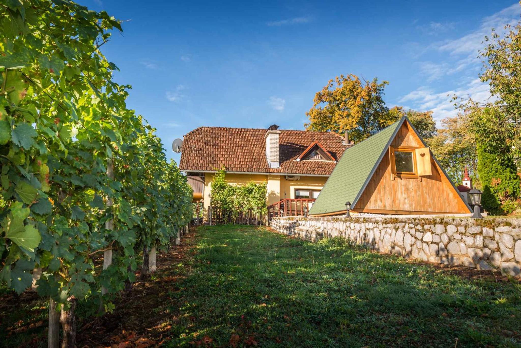 Holiday home in Novo Mesto - Dolenjska Bela krajina Unter- Weißkrain 42895 view 5