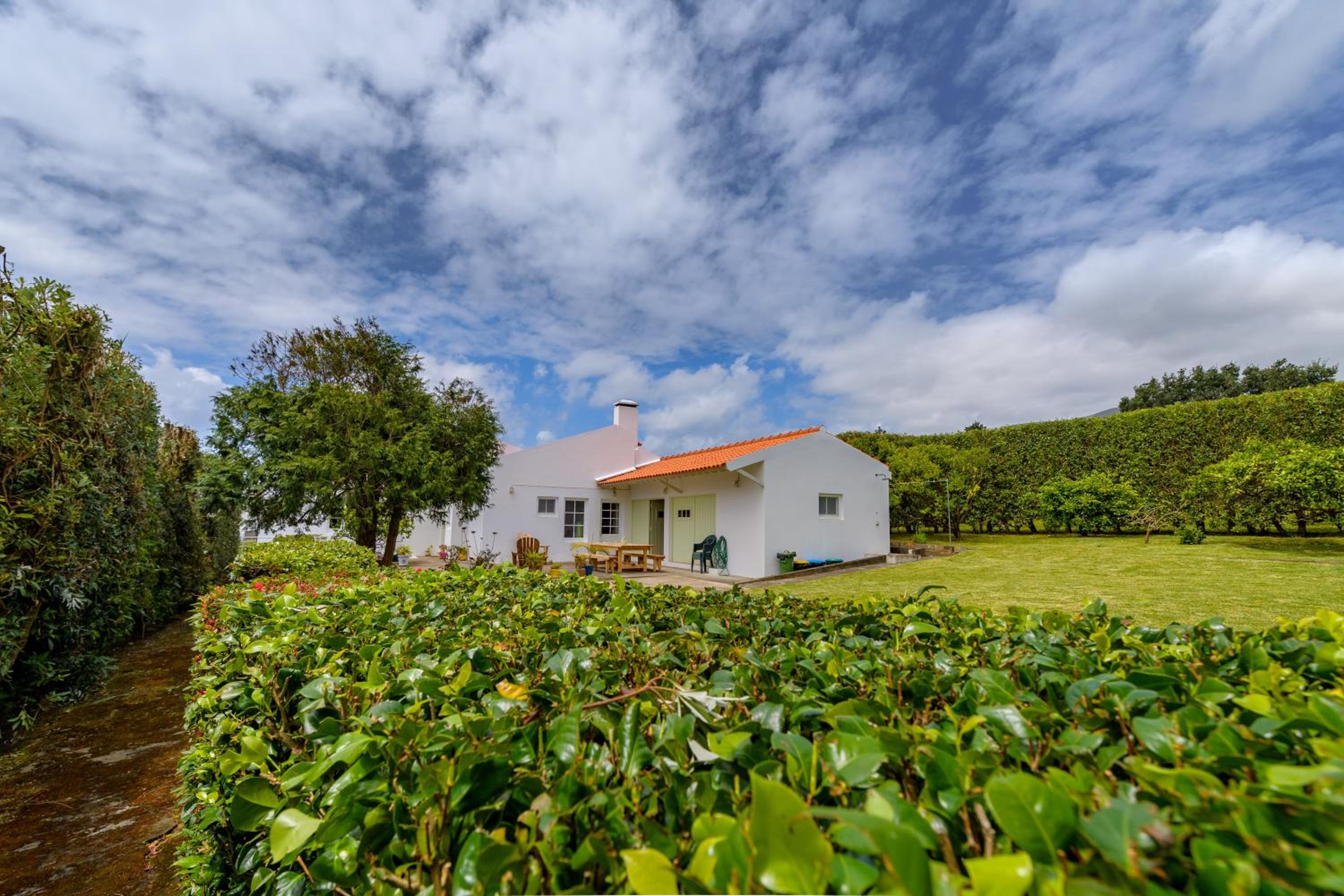Adega do Mota view 3