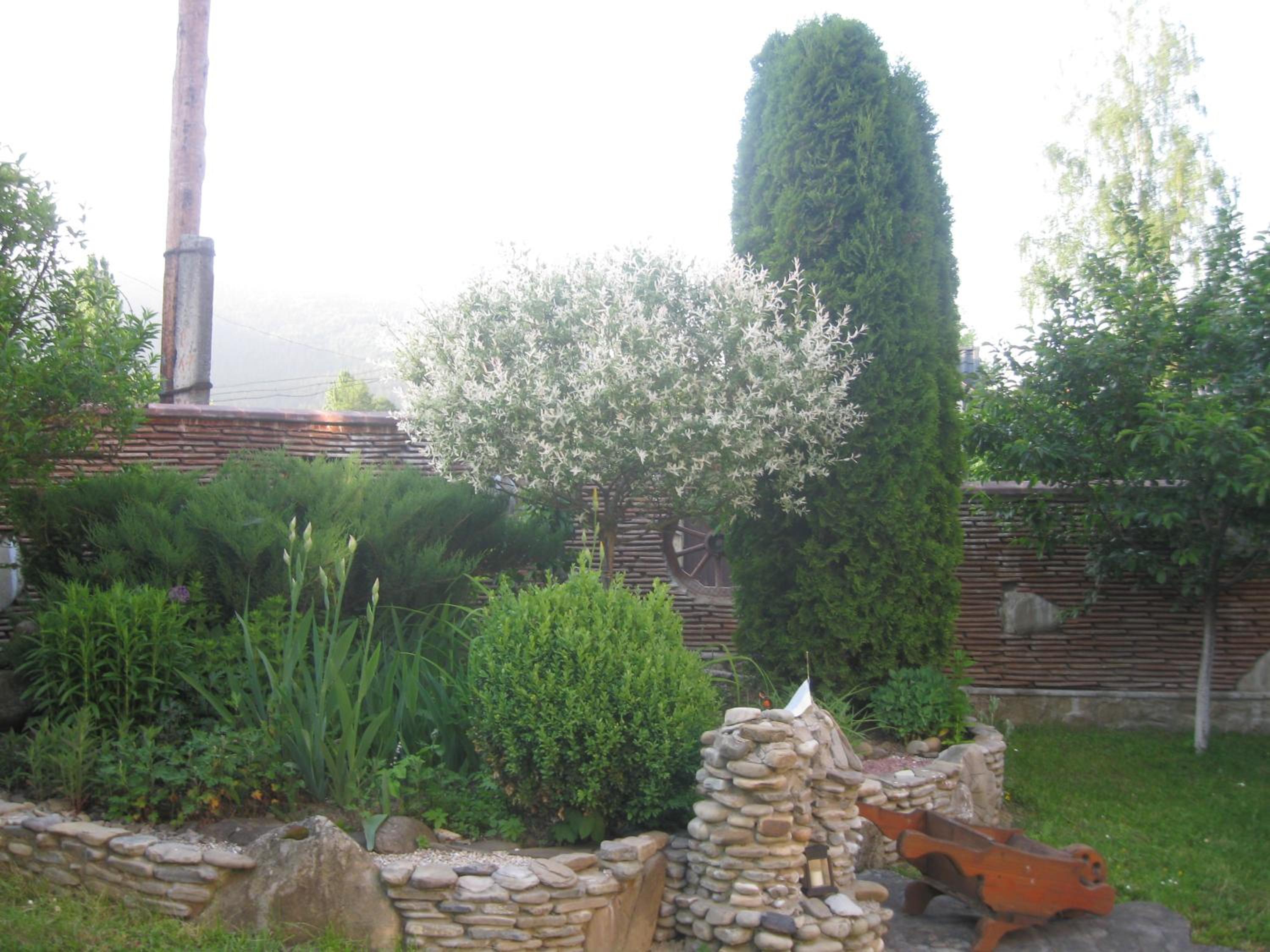 Photo 36