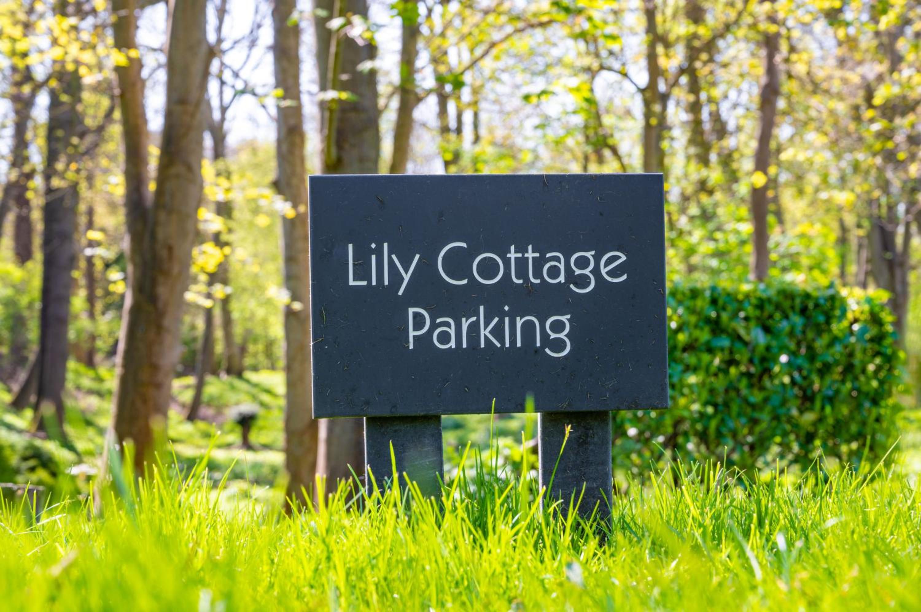 Lily Cottage by Big Skies Cottages
