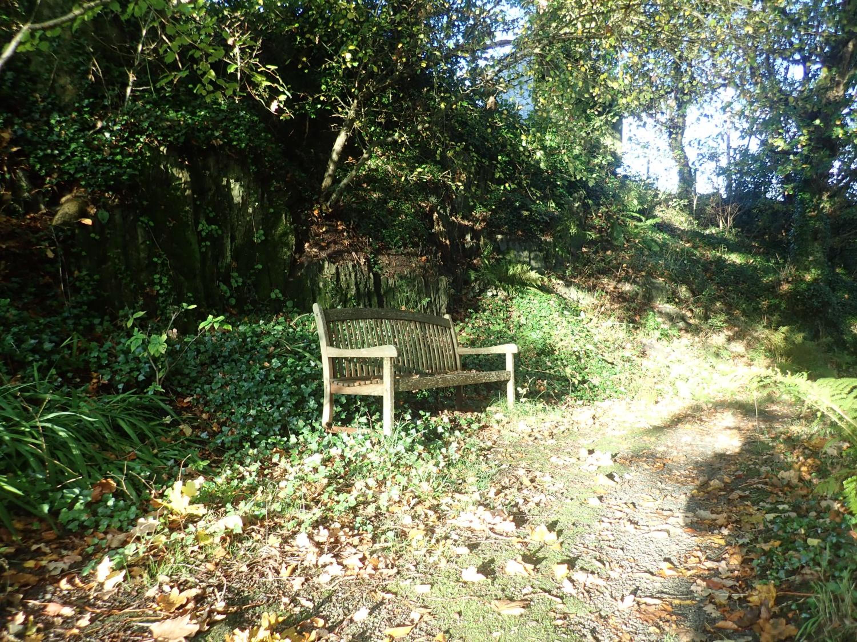 Photo 18