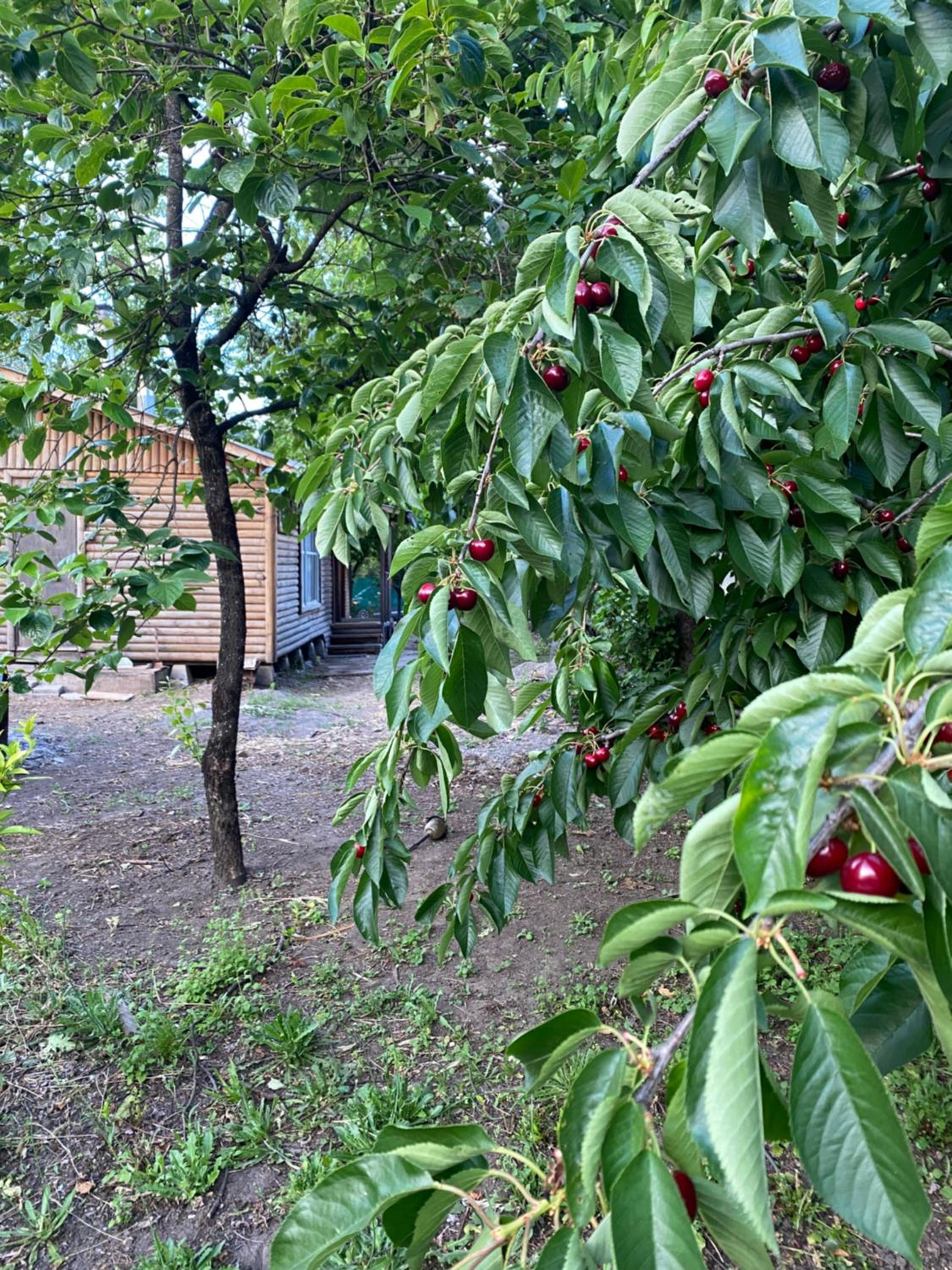 Cabaña en Quinchamalí