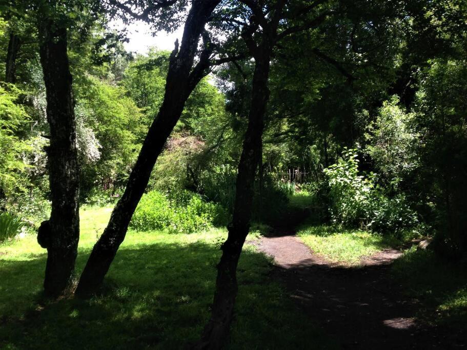 Casita depto en el bosque