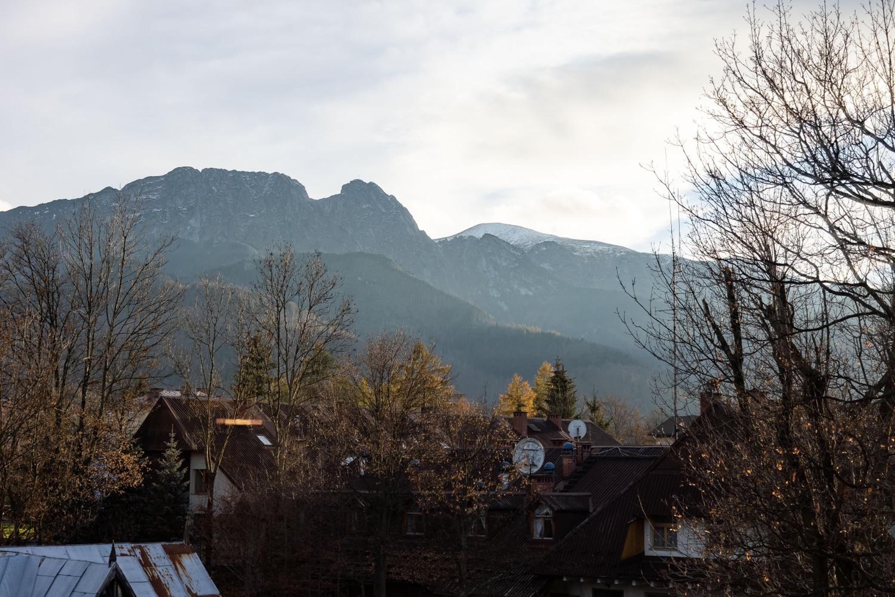 Photo 50