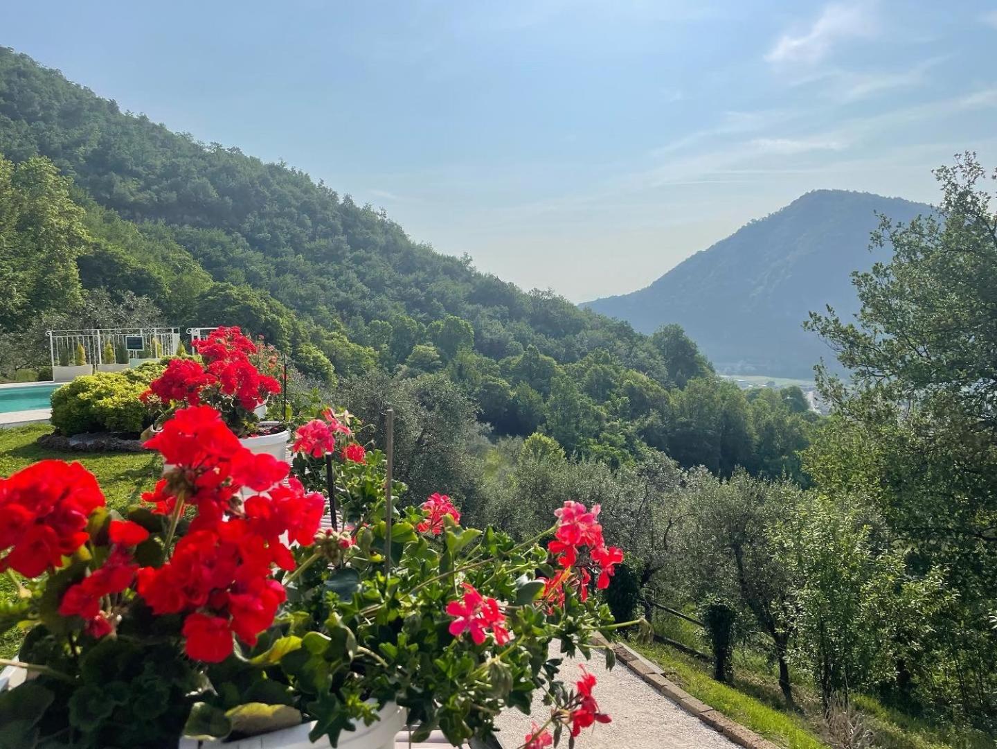 CHALET VELA Natura e Relax