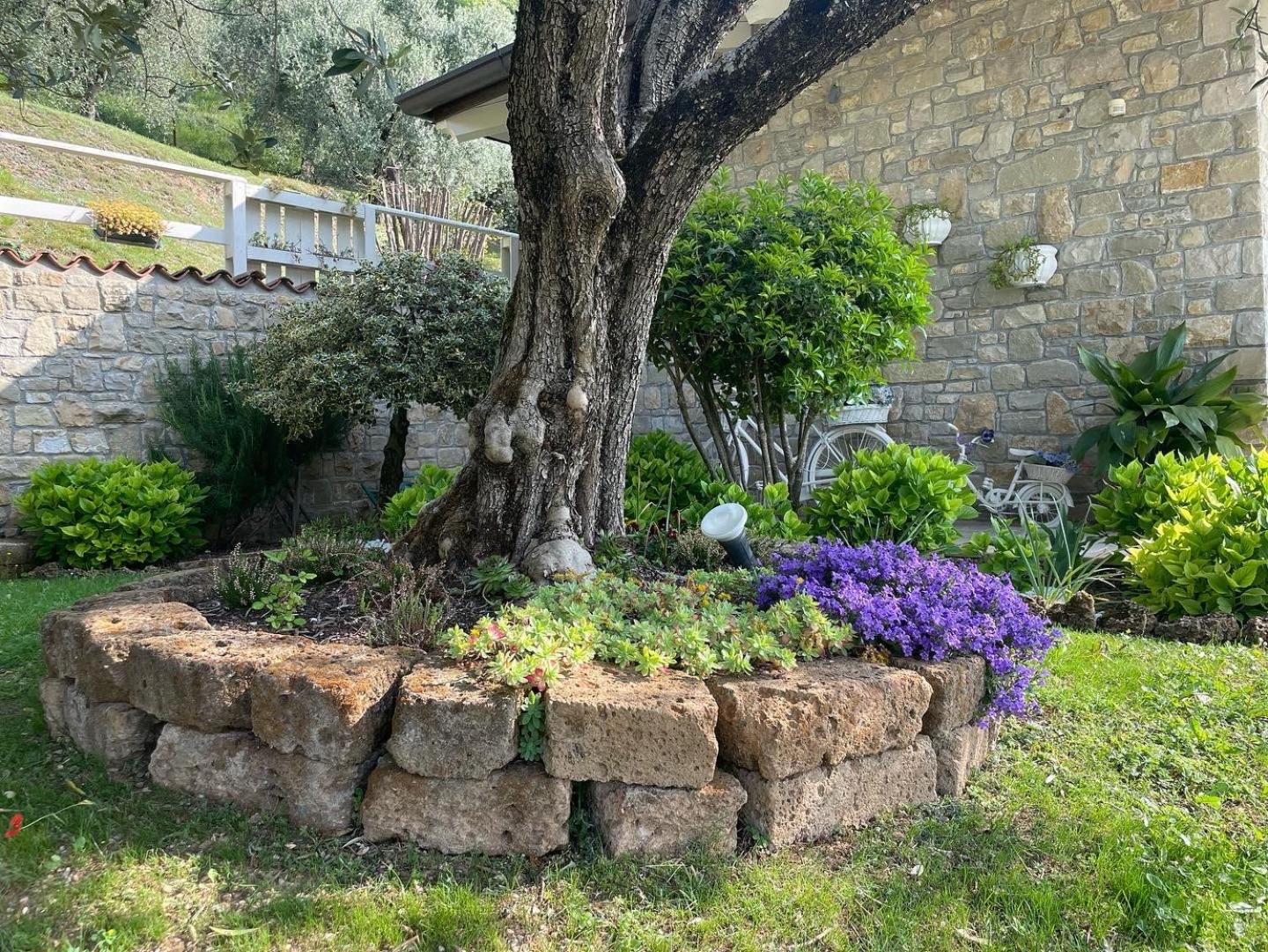 CHALET VELA Natura e Relax