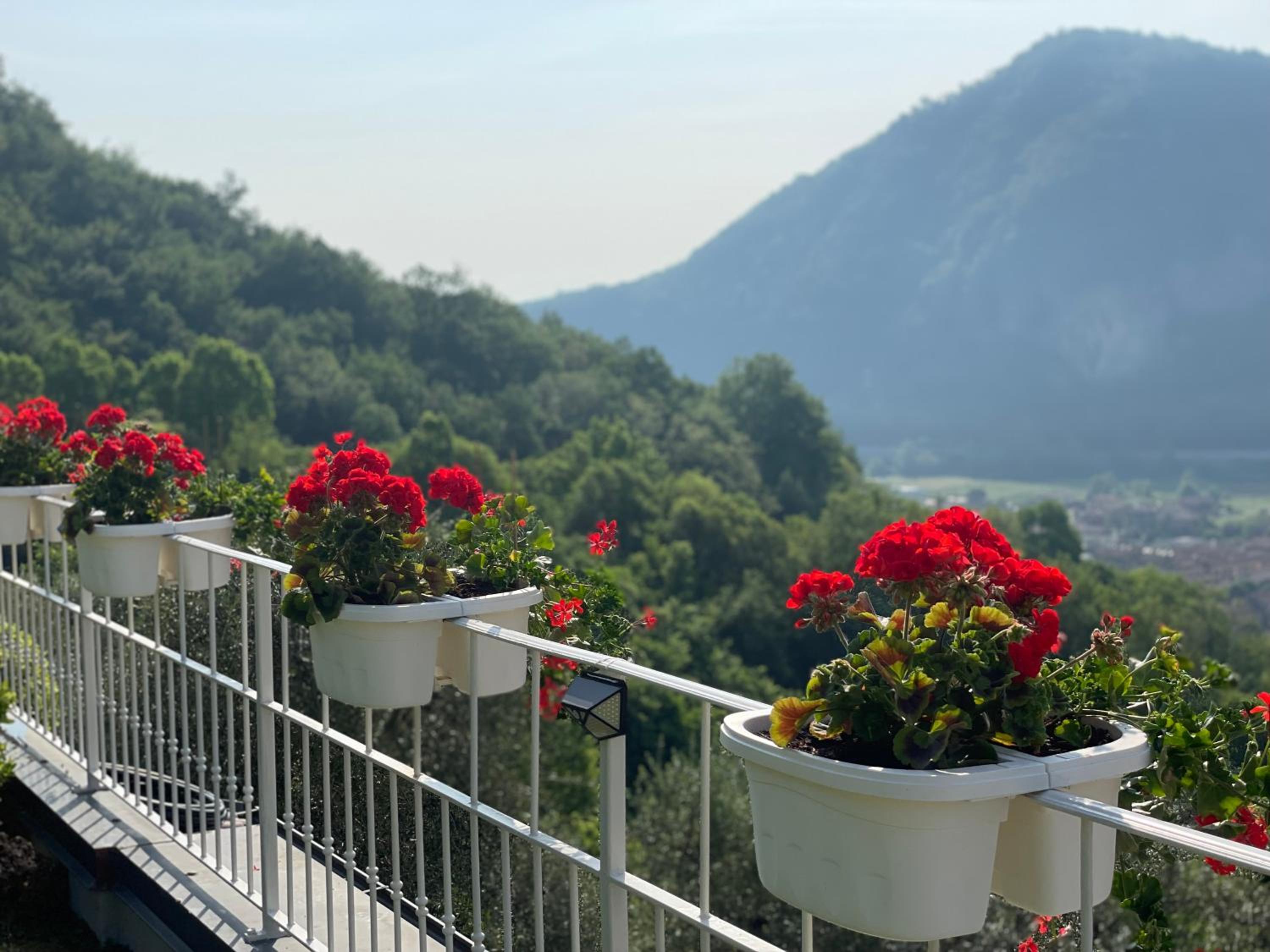 CHALET VELA Natura e Relax