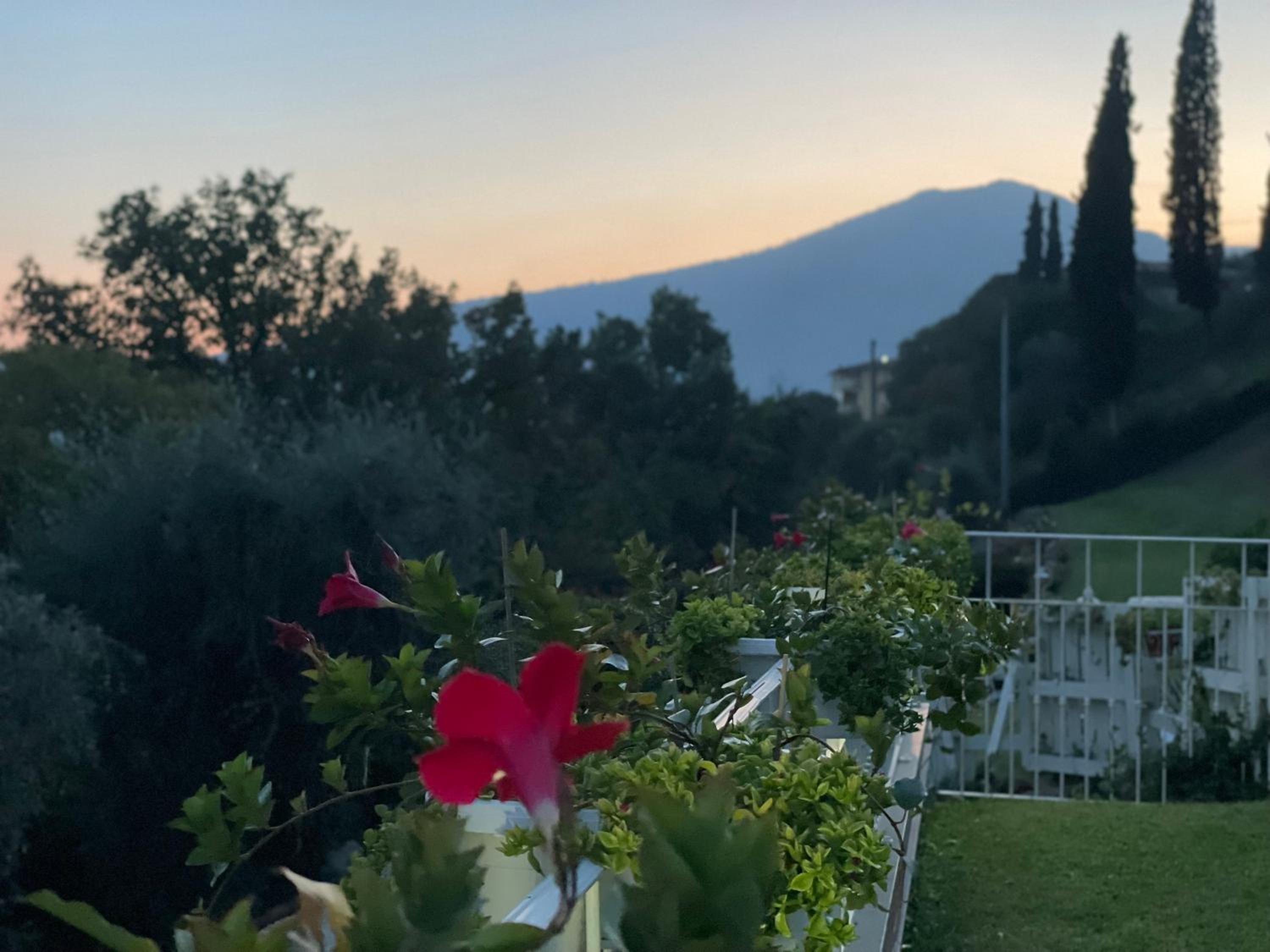 CHALET VELA Natura e Relax