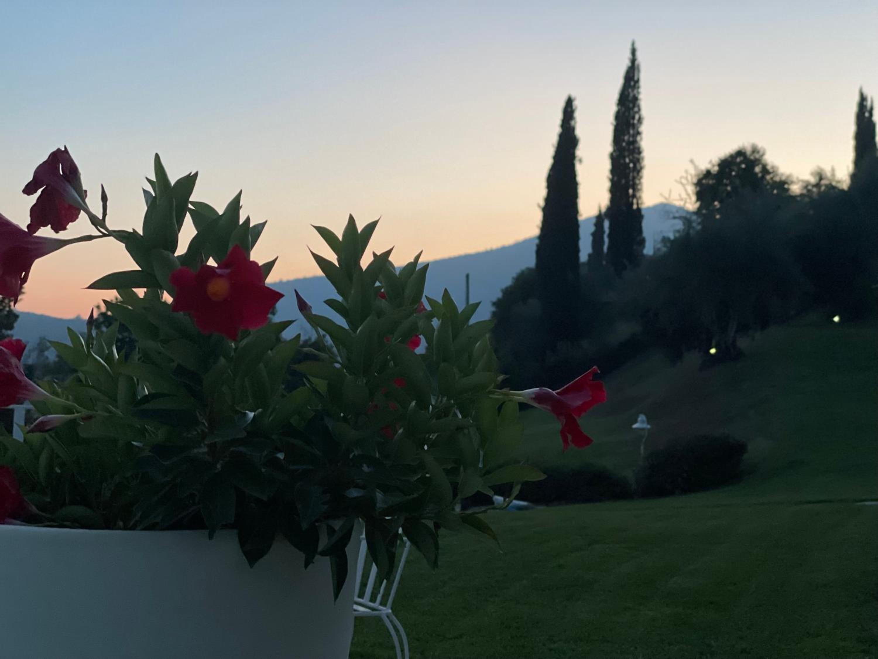 CHALET VELA Natura e Relax