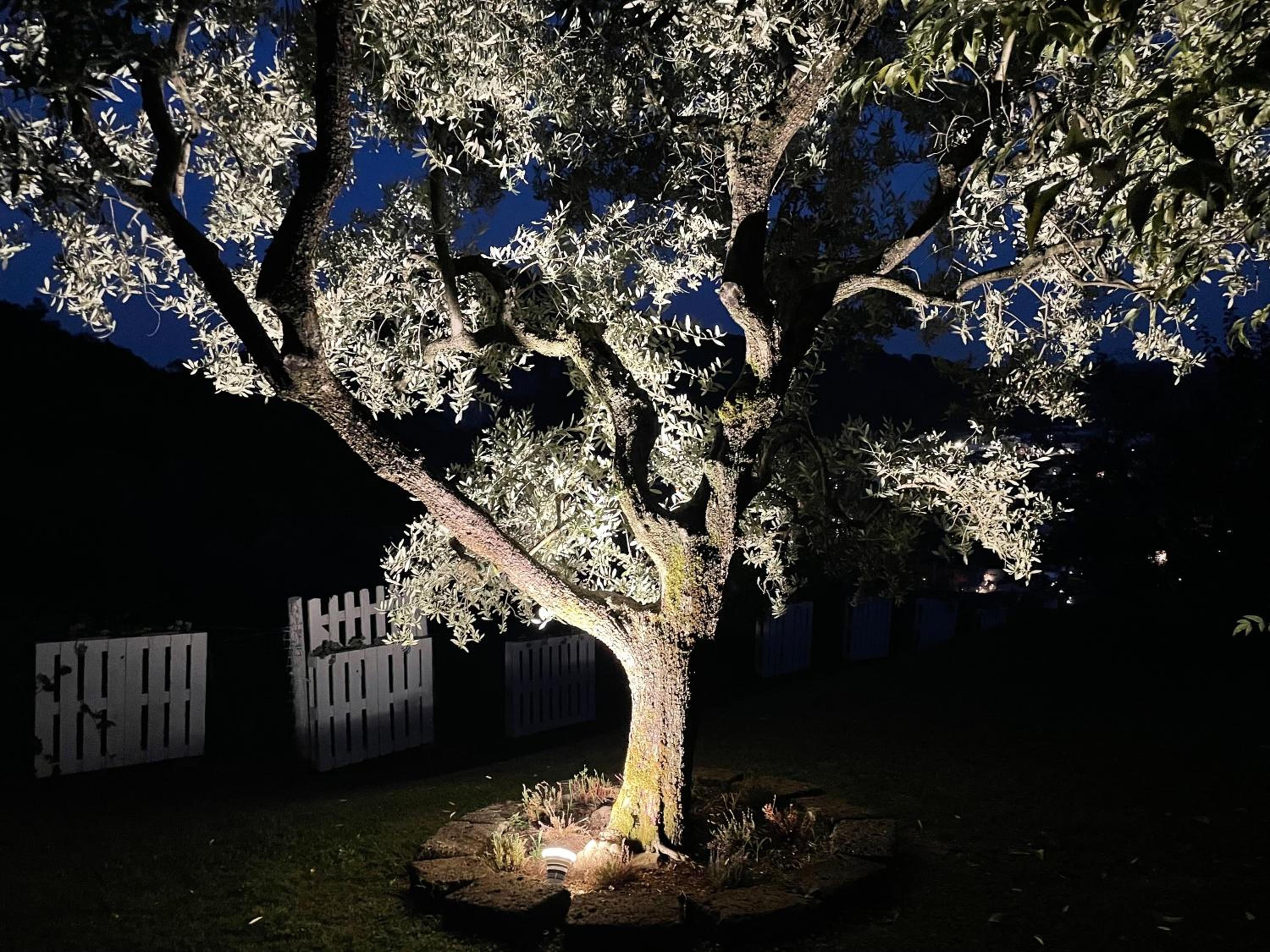 CHALET VELA Natura e Relax
