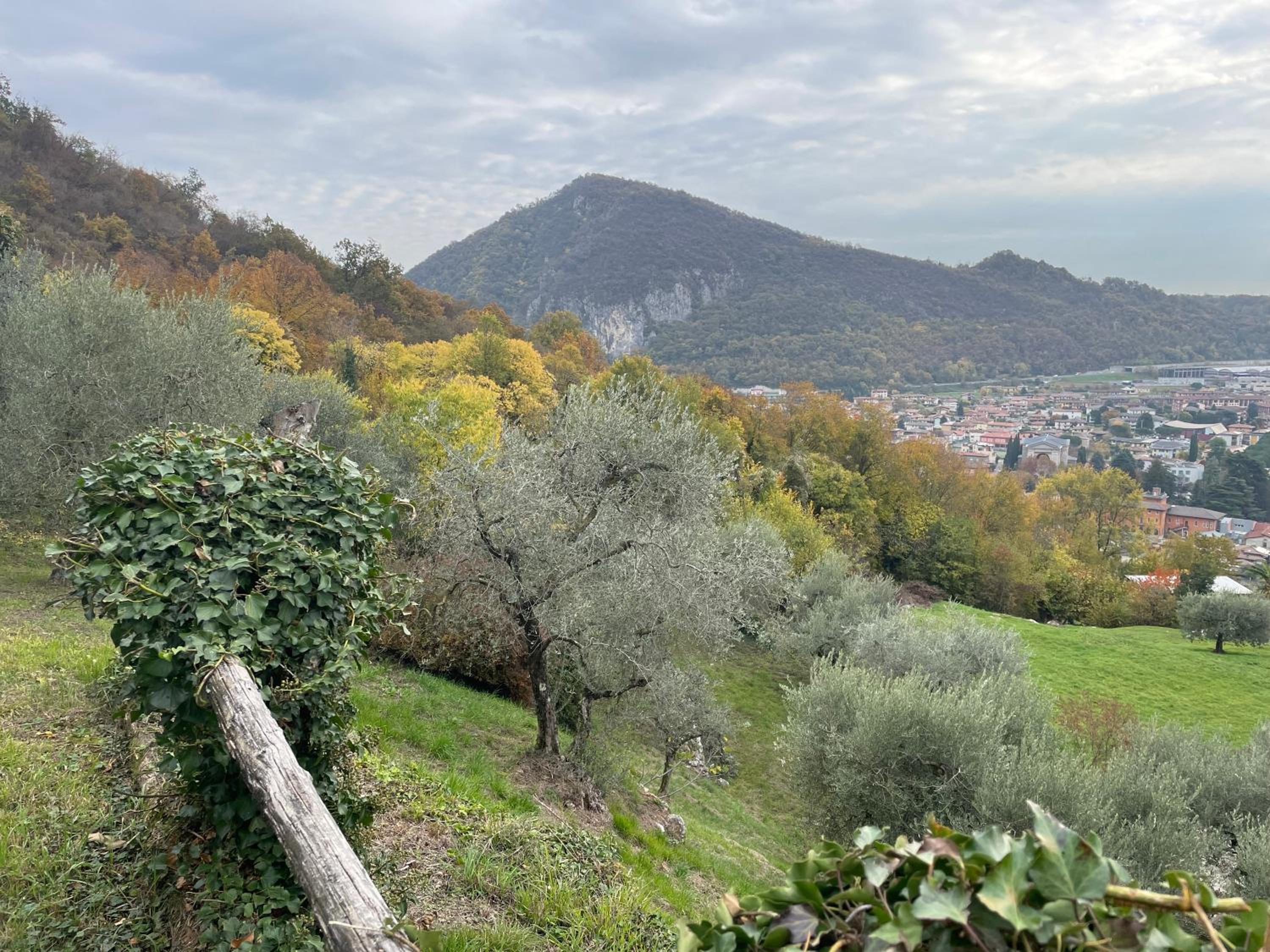 CHALET VELA Natura e Relax