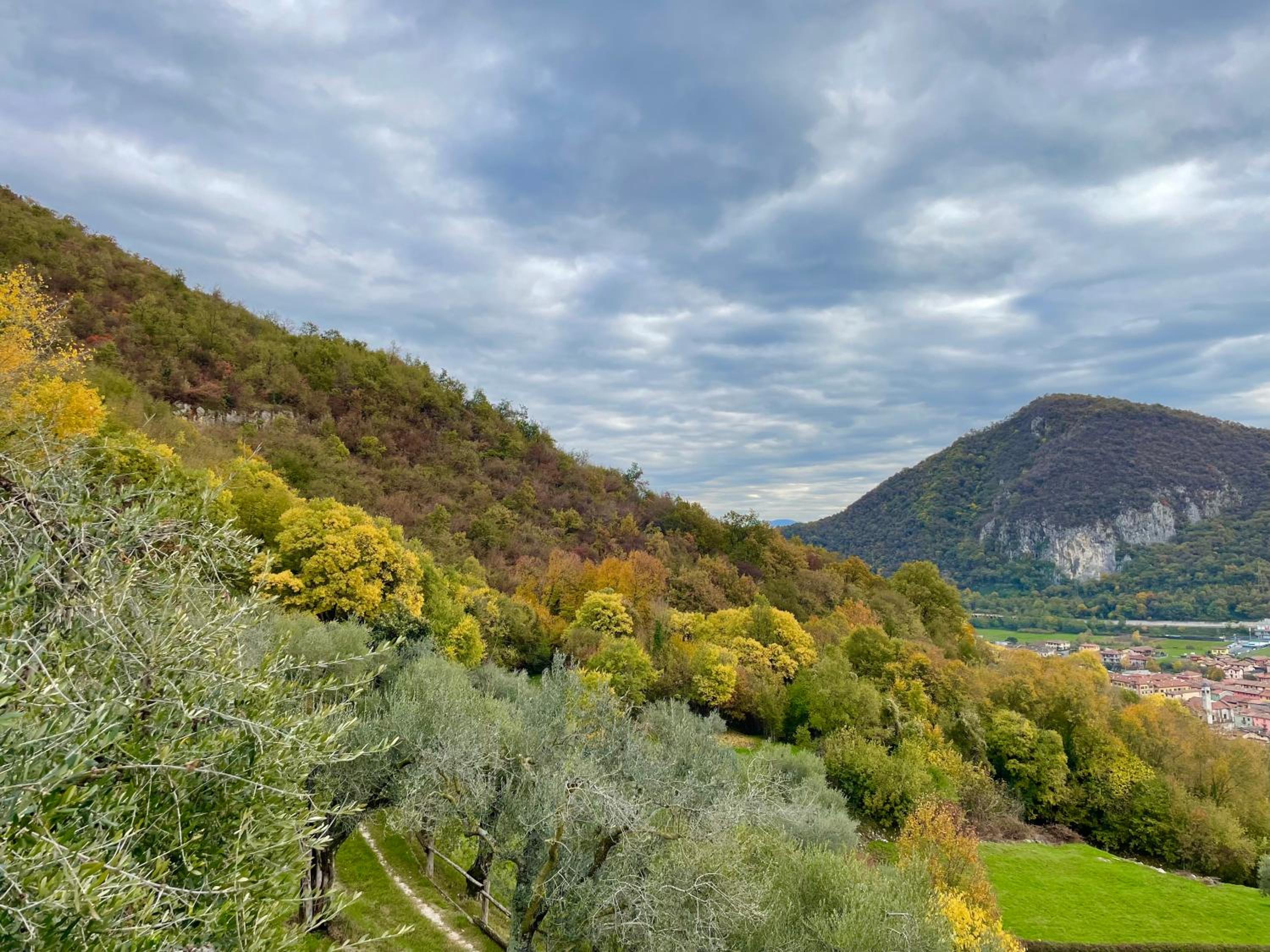 CHALET VELA Natura e Relax