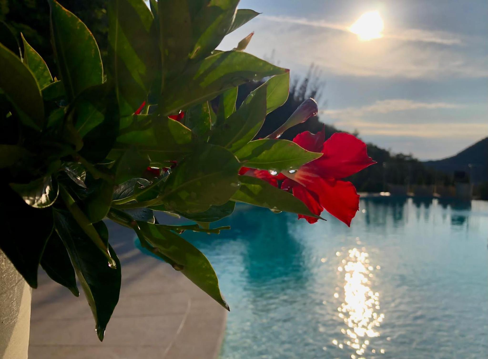 CHALET VELA Natura e Relax