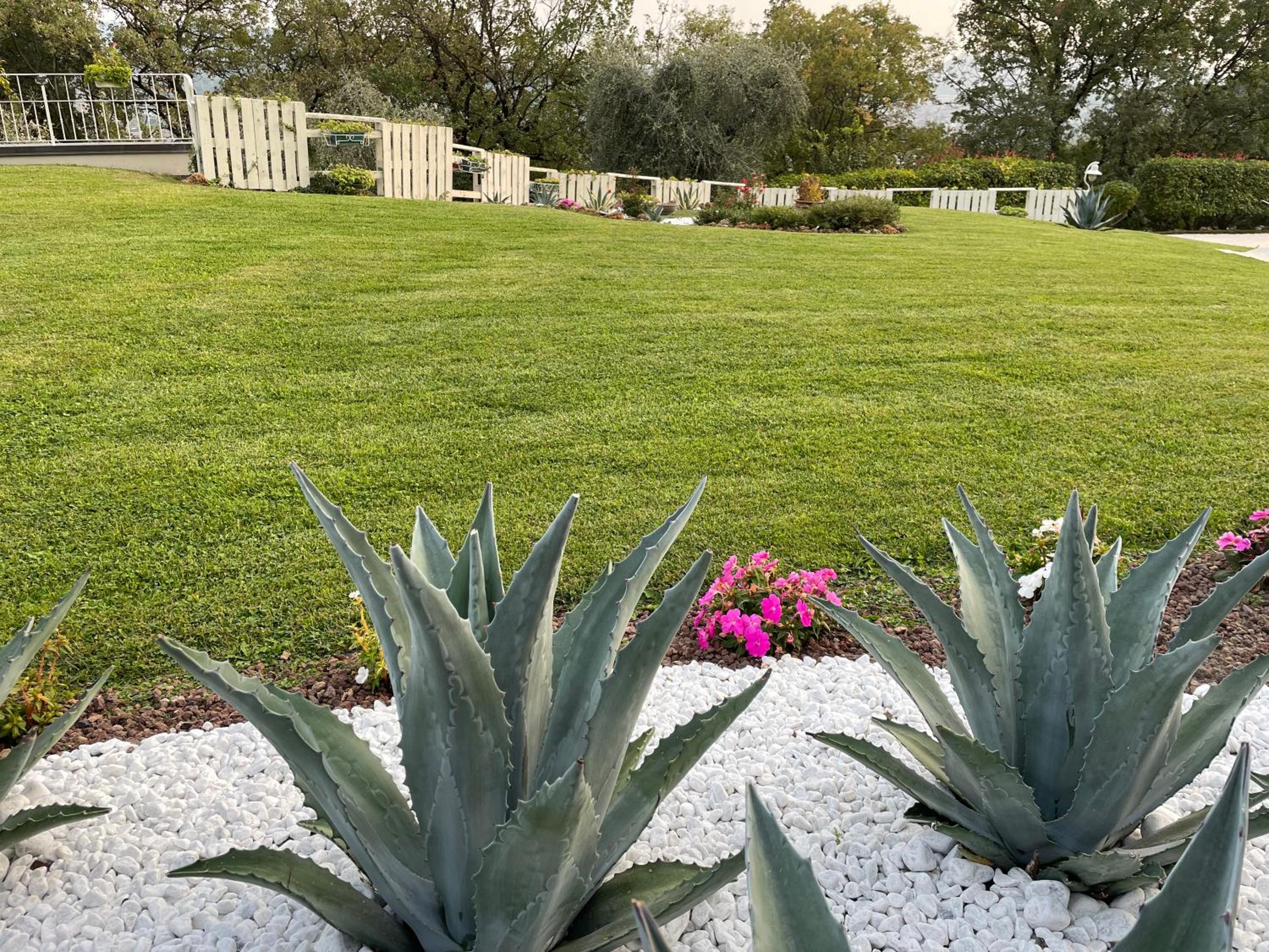 CHALET VELA Natura e Relax