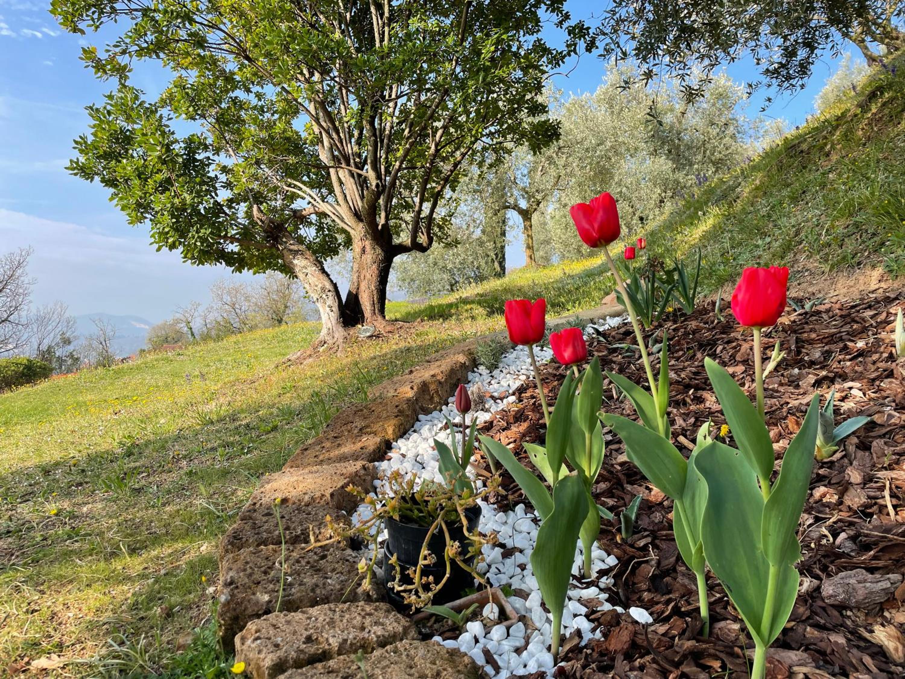 CHALET VELA Natura e Relax