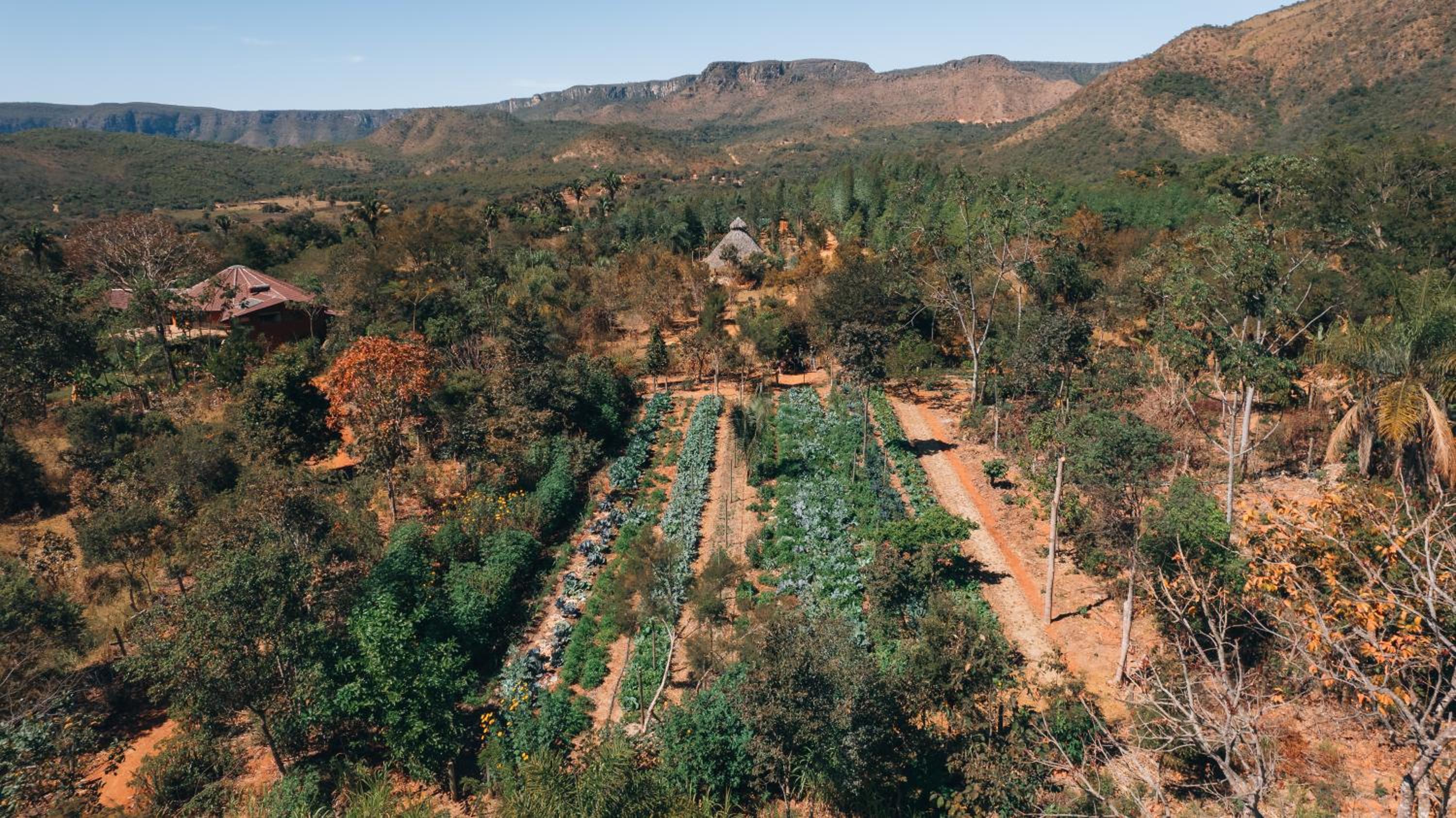 Terra Booma