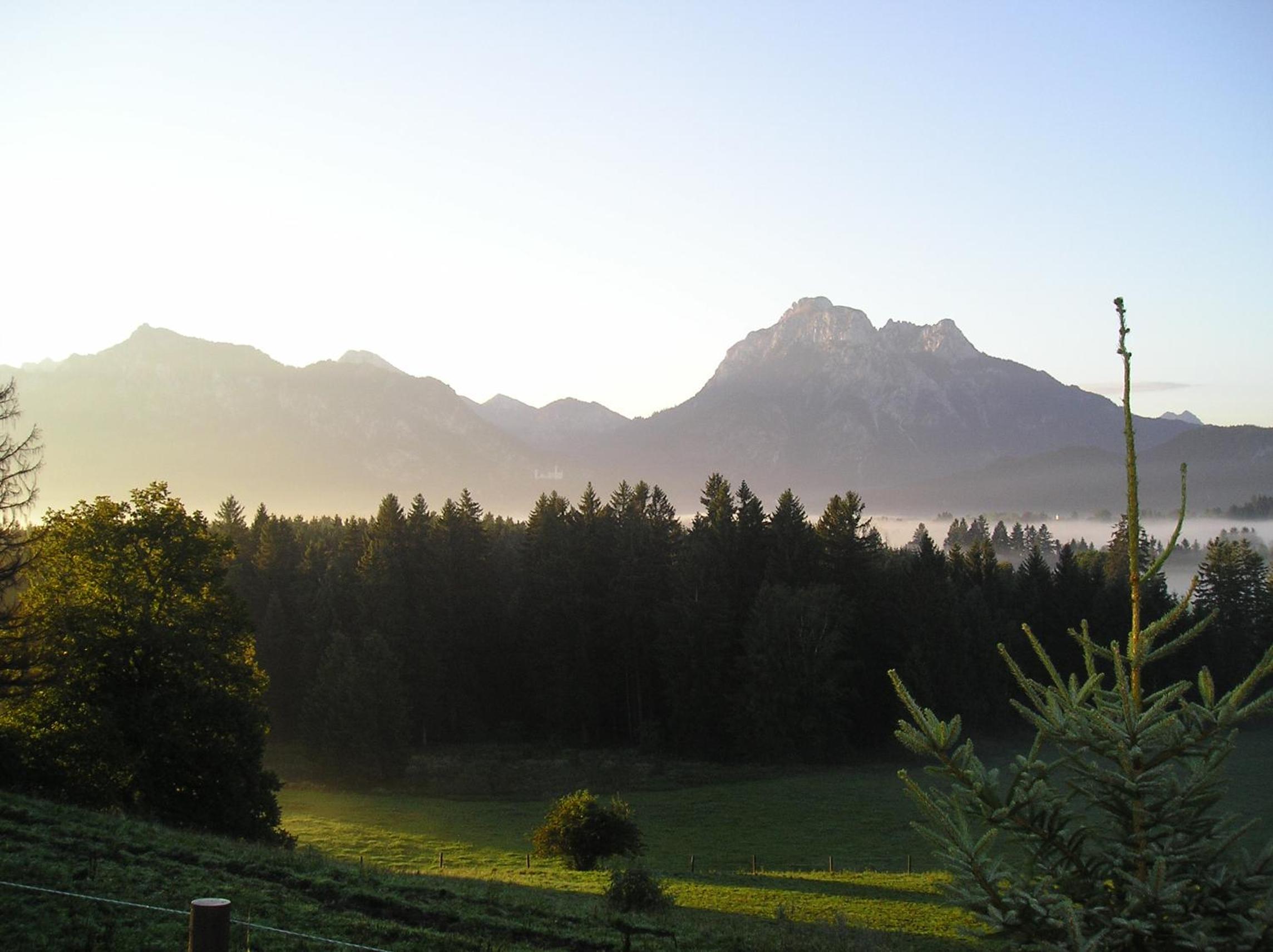Ferienwohnungen Reiss
