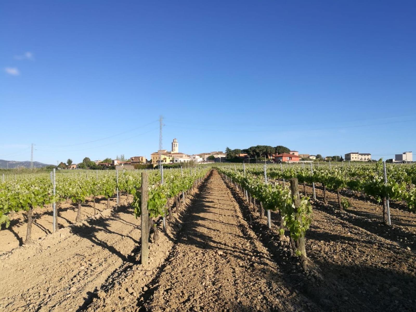 Cal Castlà