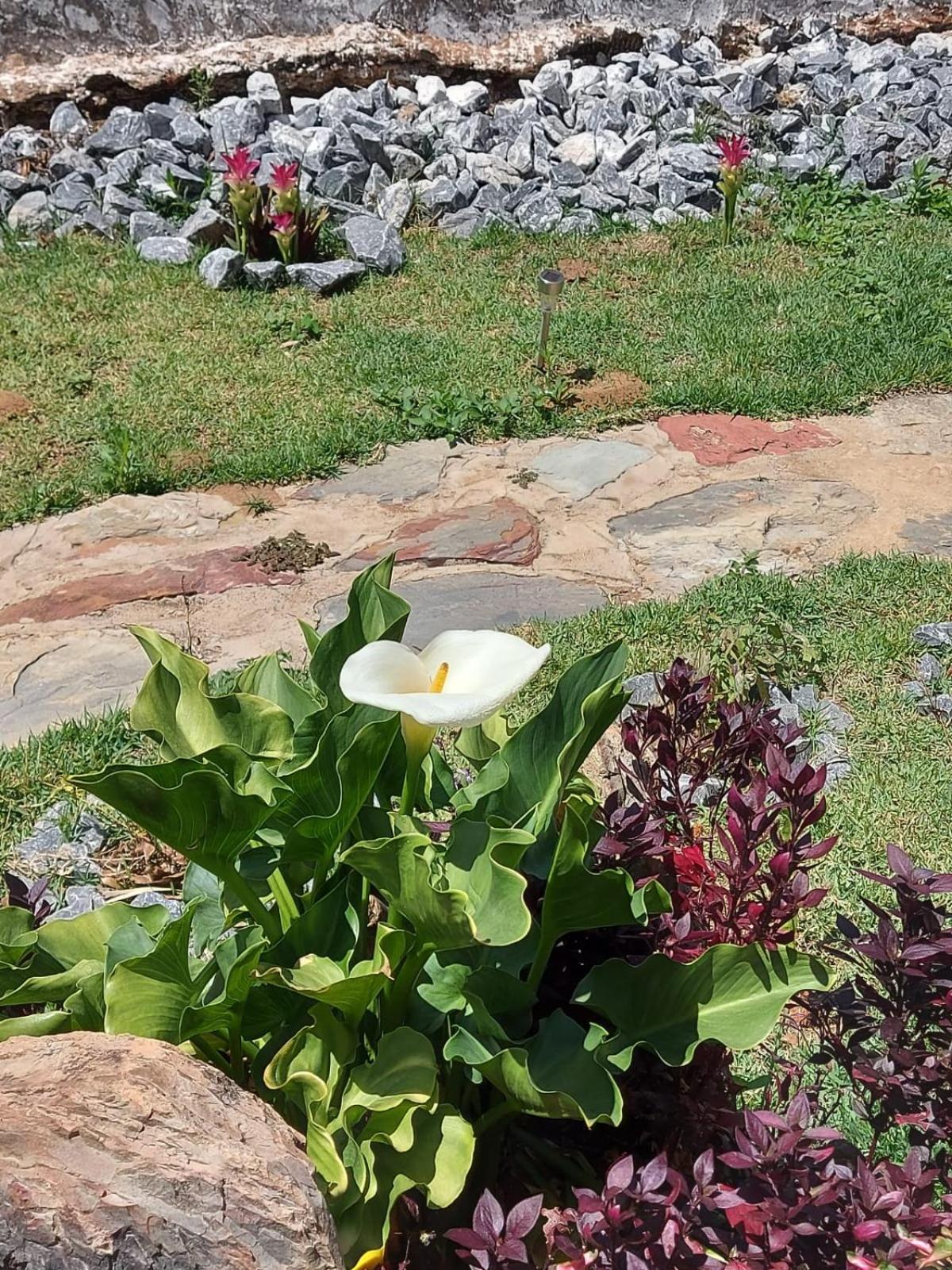 Pousada Ostara