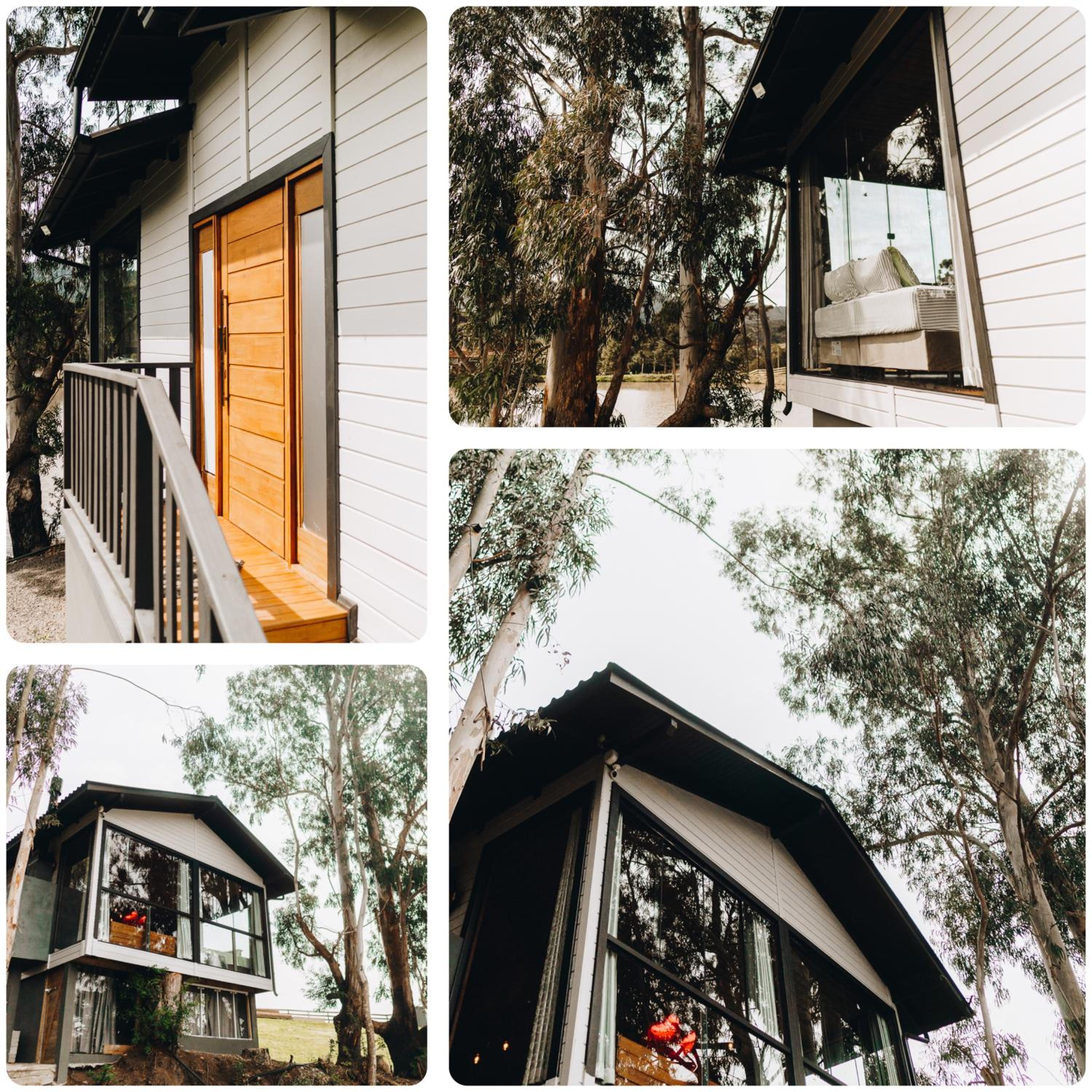 Photo 61