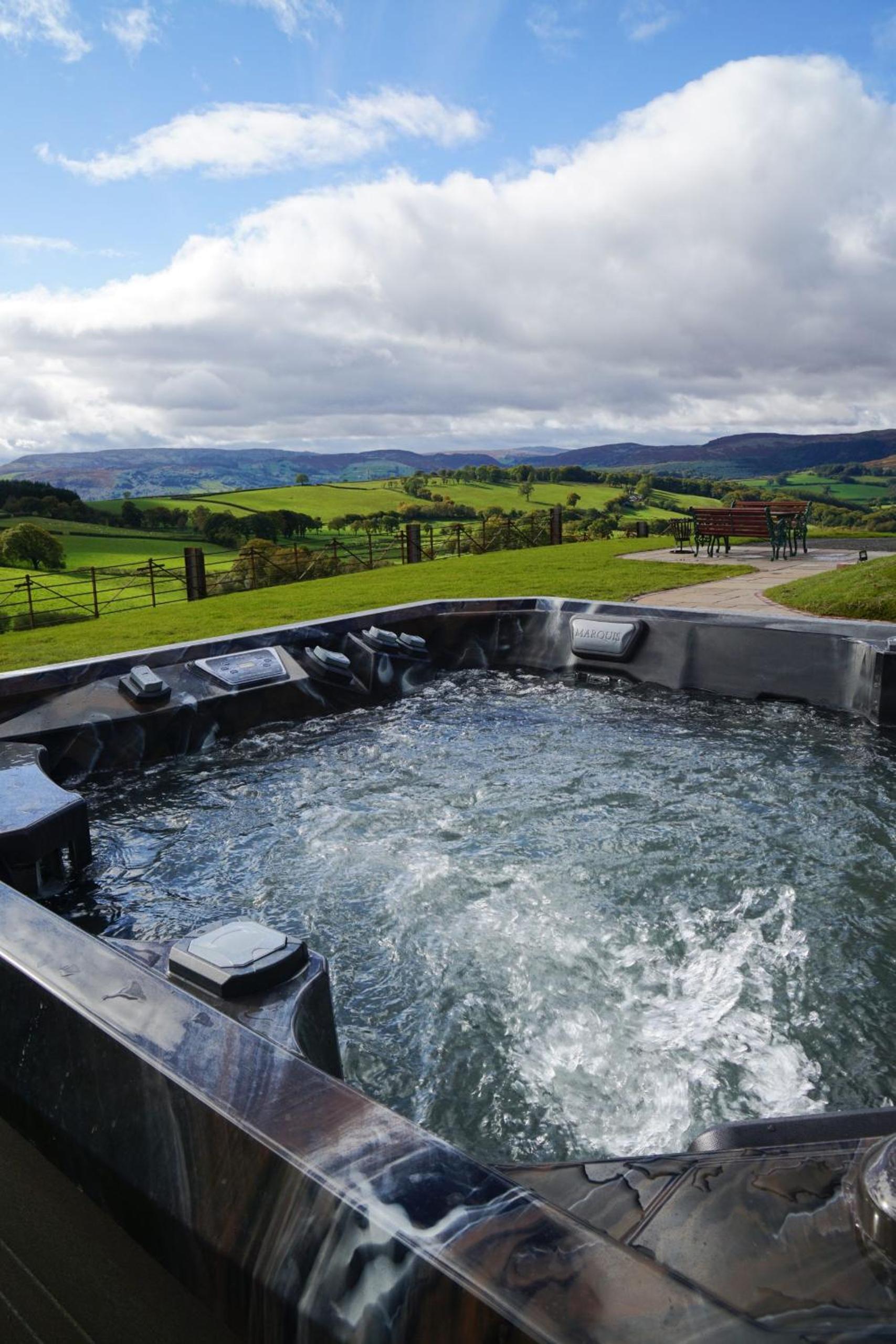 Foxes View