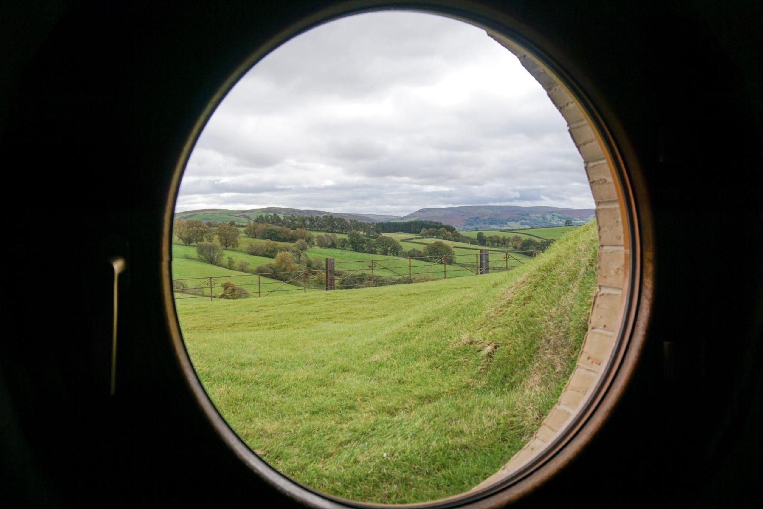 Foxes View