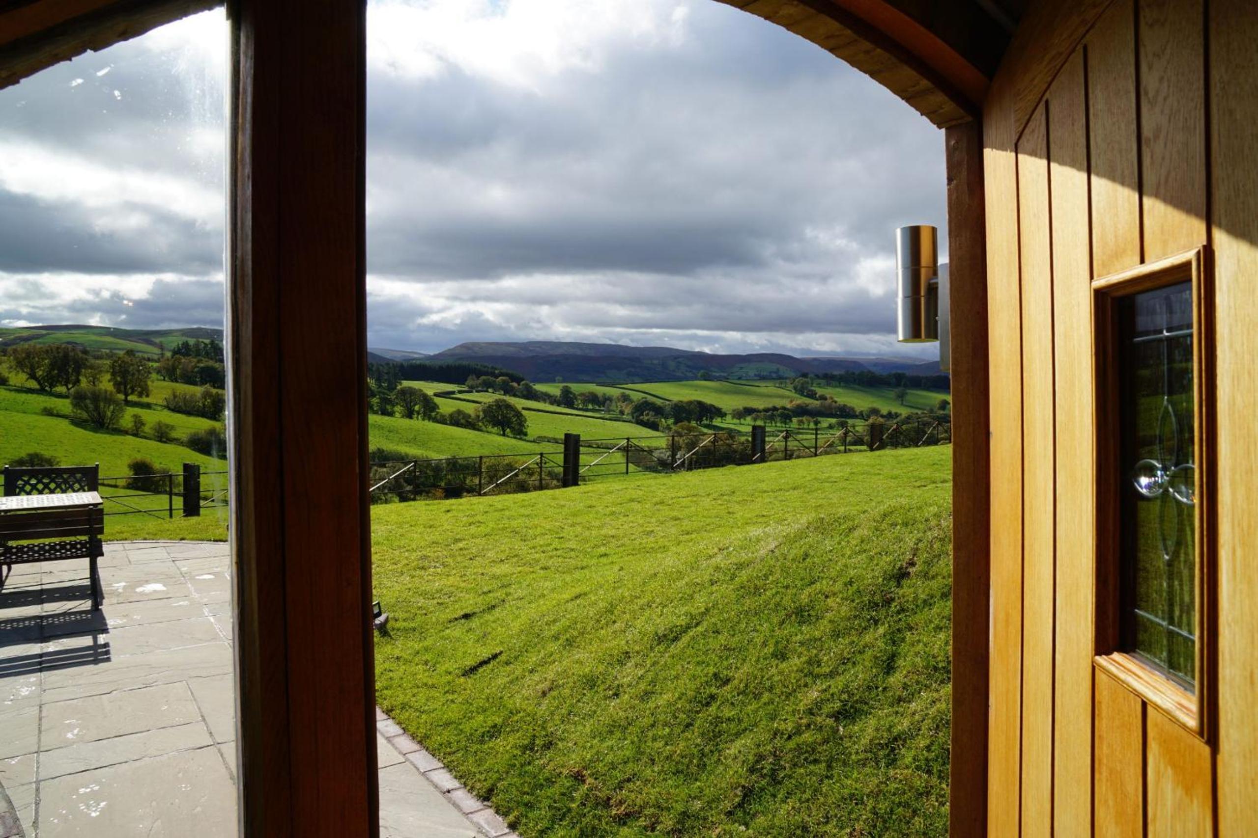 Foxes View