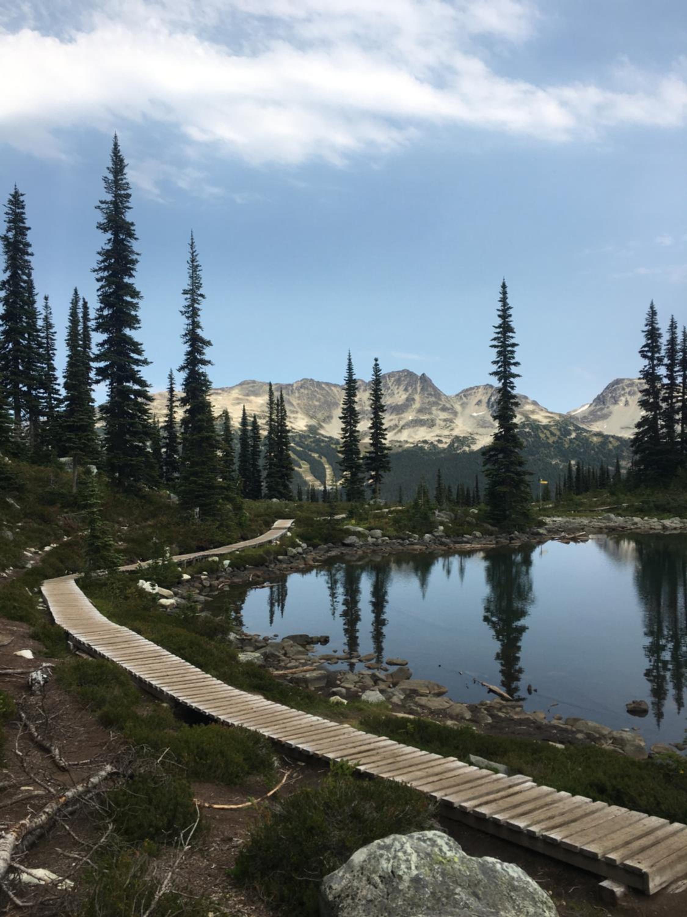 Belle Neige Whistler